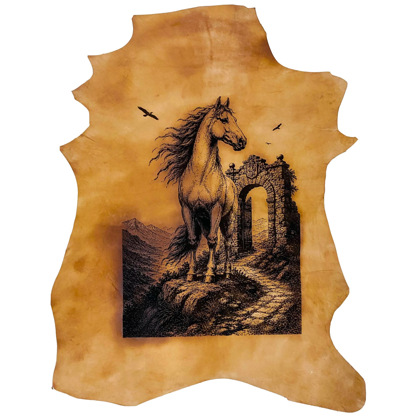 The Noble Stallion LA-165 33x26 INCH
