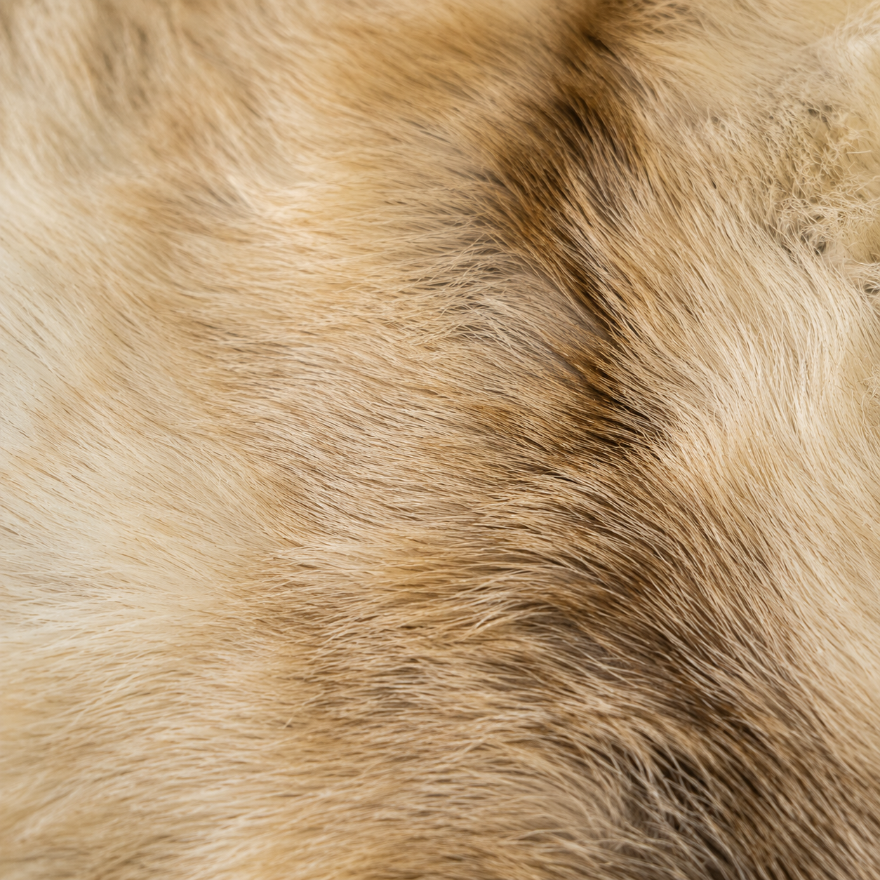 Reindeer Hide Rug RR-102 48x44 INCH