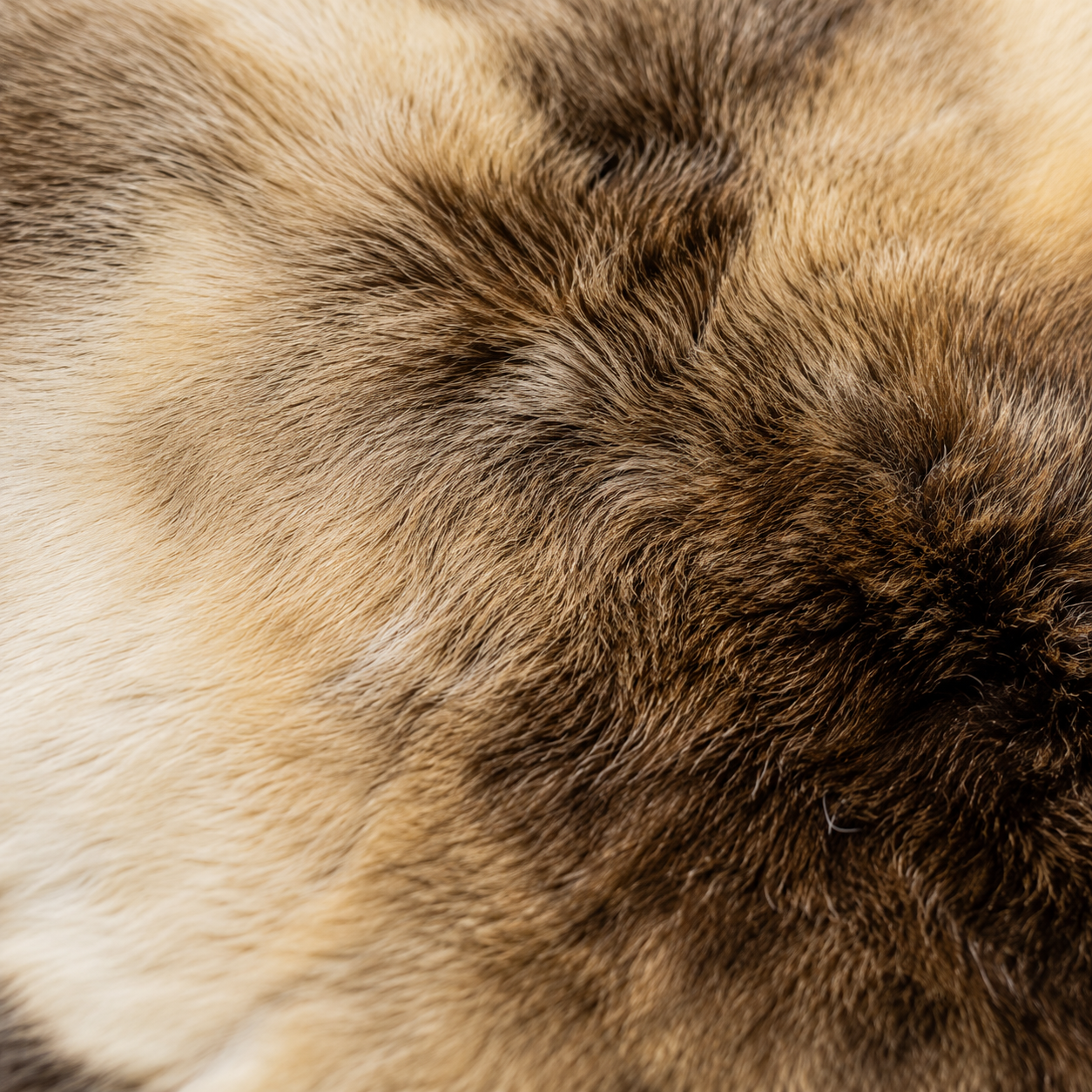 Reindeer Hide Rug RR-105 47x43 INCH