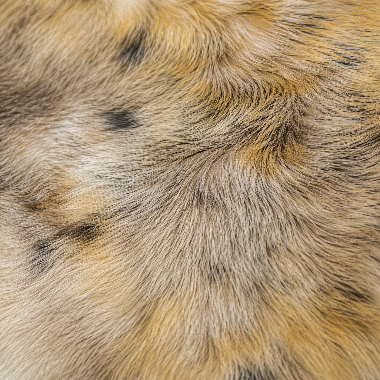 Reindeer Hide Rug RR-108 50X42 INCH