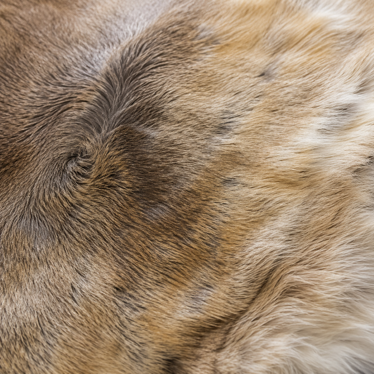 Reindeer Hide Rug RR-109 46X44 INCH