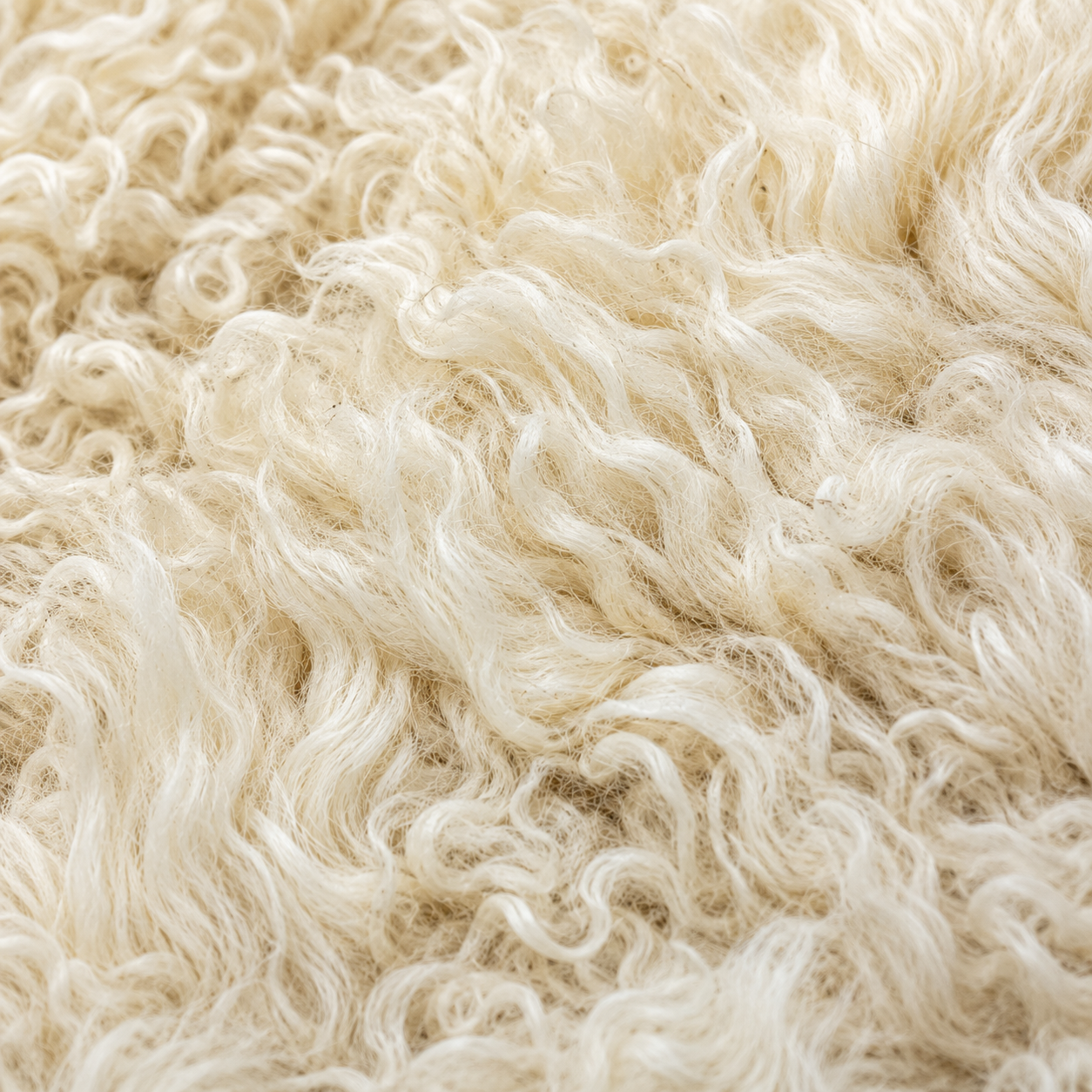 SHEEP SKIN RUG SR-109 34x23 INCH