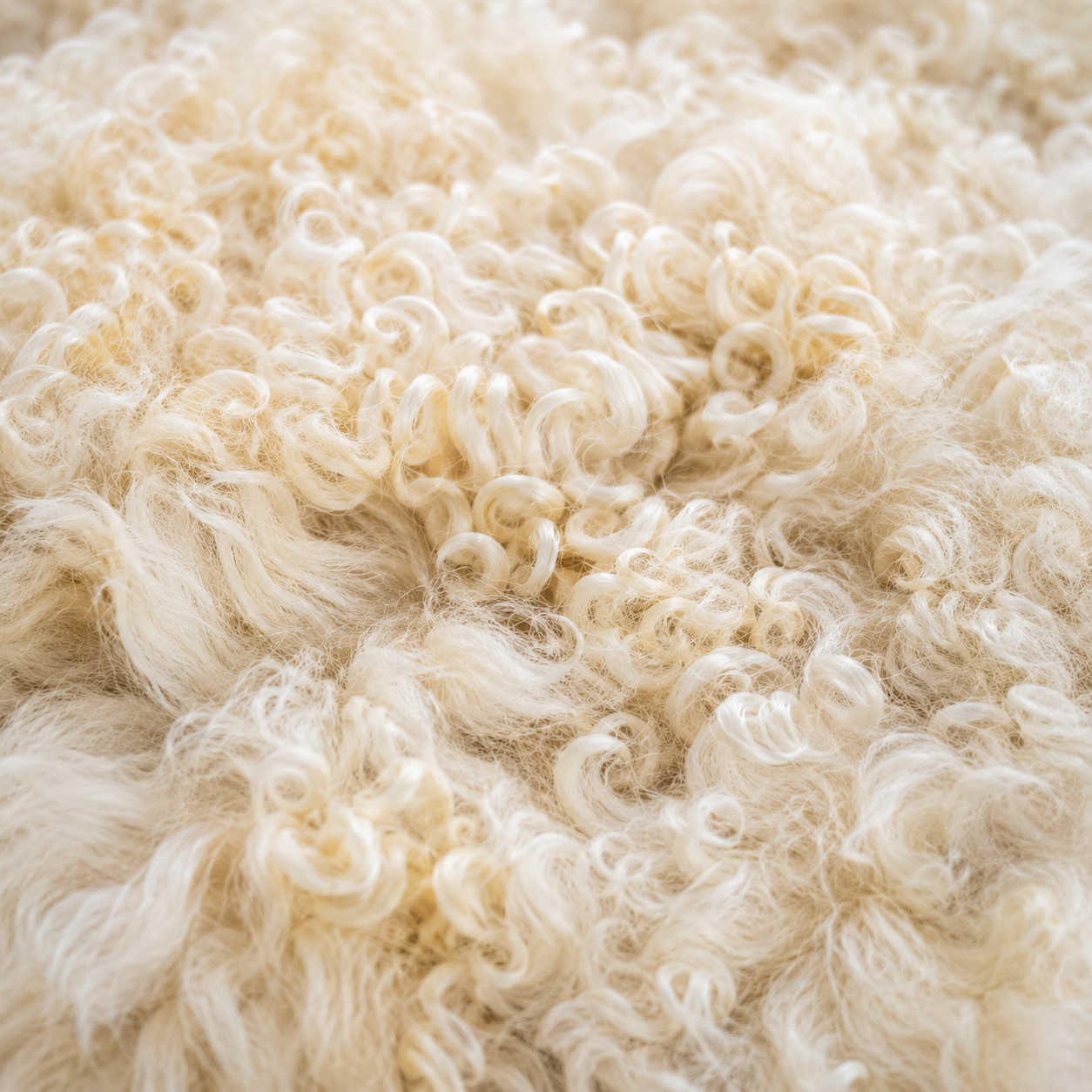 SHEEP SKIN RUG SR-124 36x27 INCH