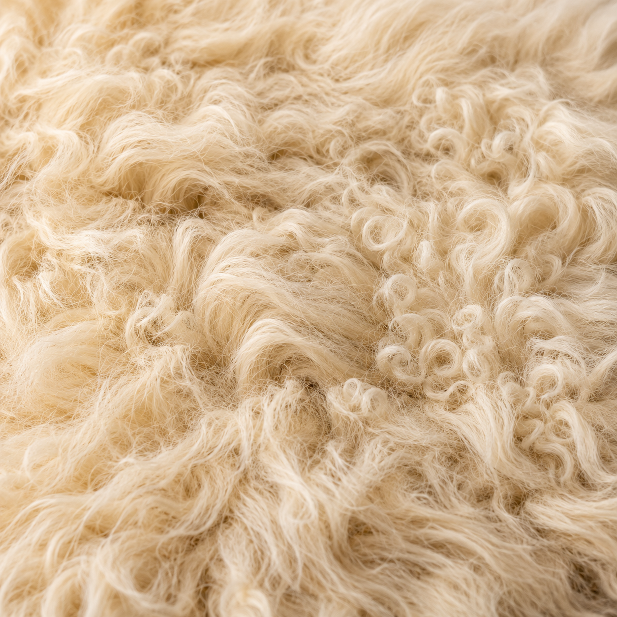 SHEEP SKIN RUG SR-126 40x28 INCH