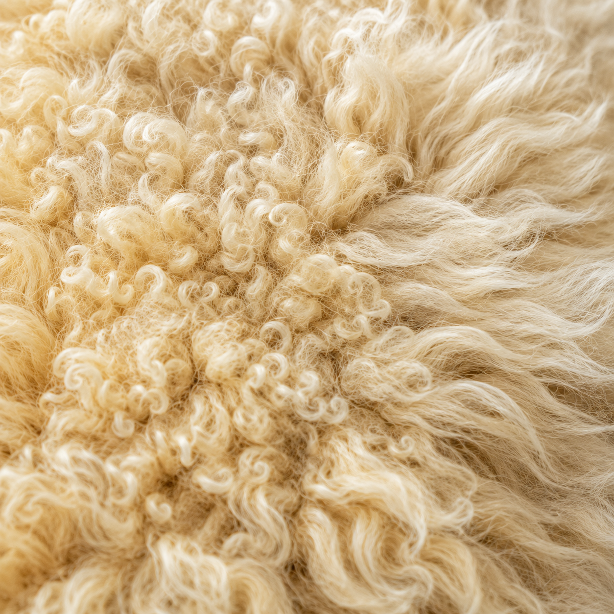 SHEEP SKIN RUG SR-130 36x26 INCH