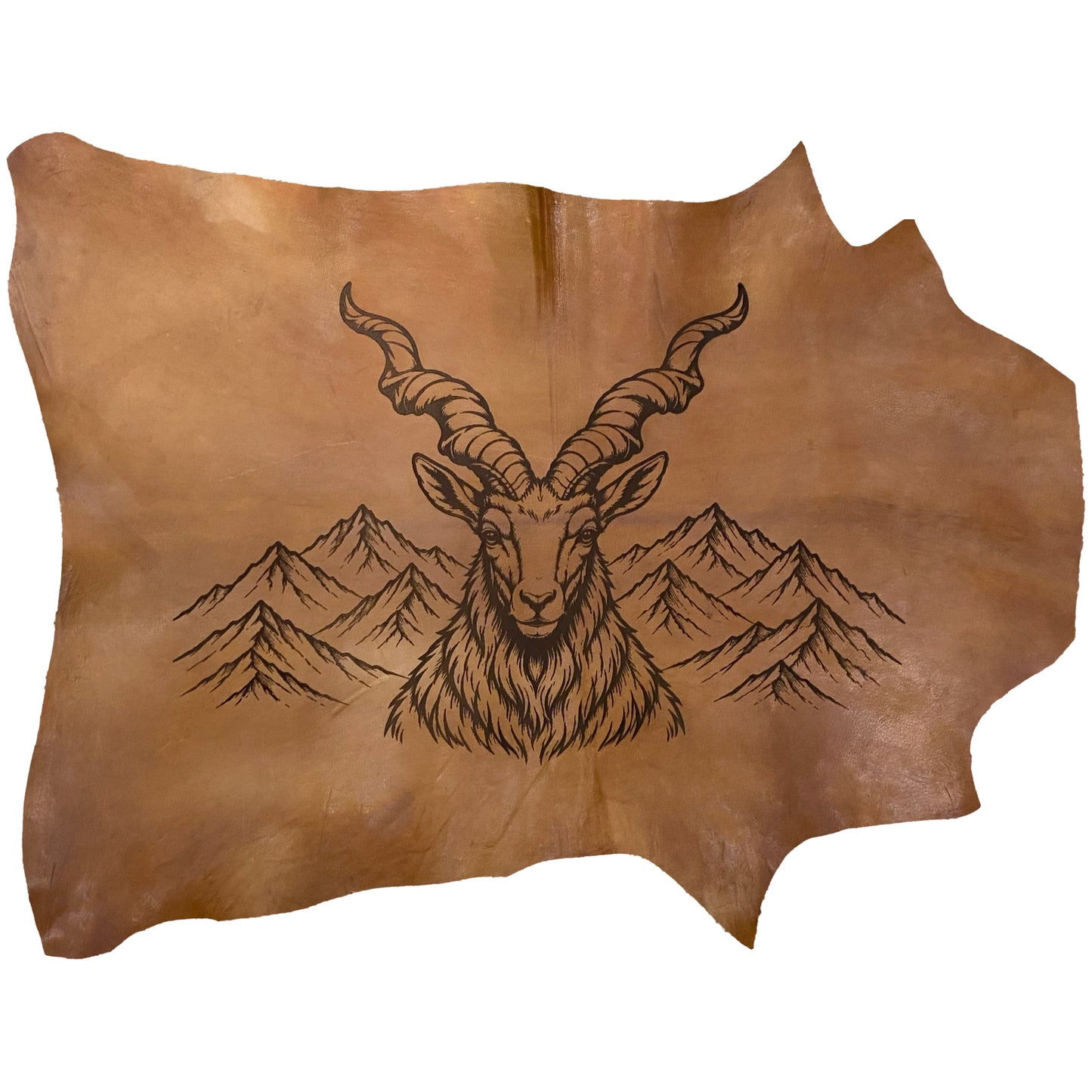 The Highland Sentinel LA-101 31x25 INCH