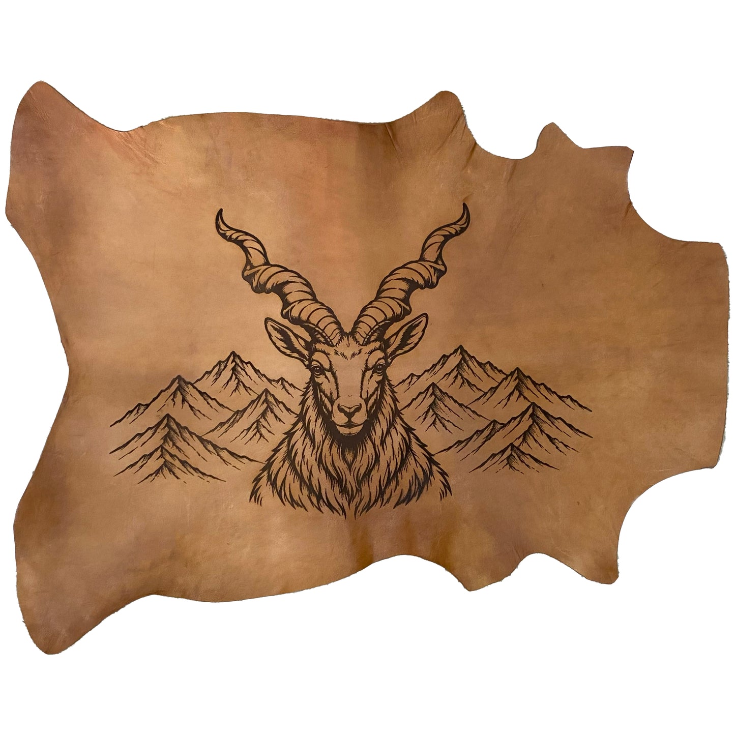 The Highland Sentinel LA-102 33x26 INCH