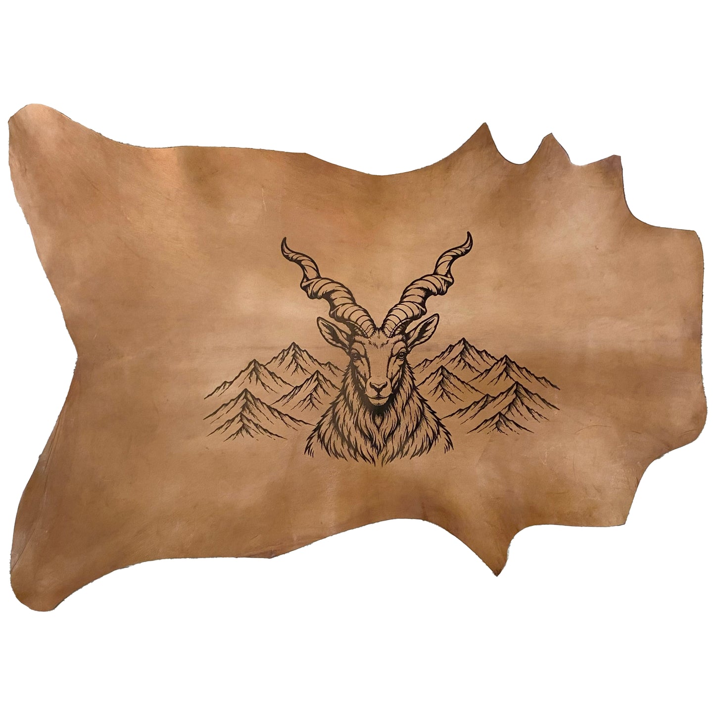 The Highland Sentinel LA-103 34x25 INCH