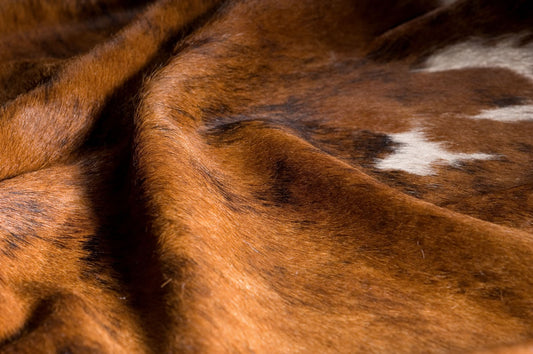 How to Care for Your Leather Skin Rug