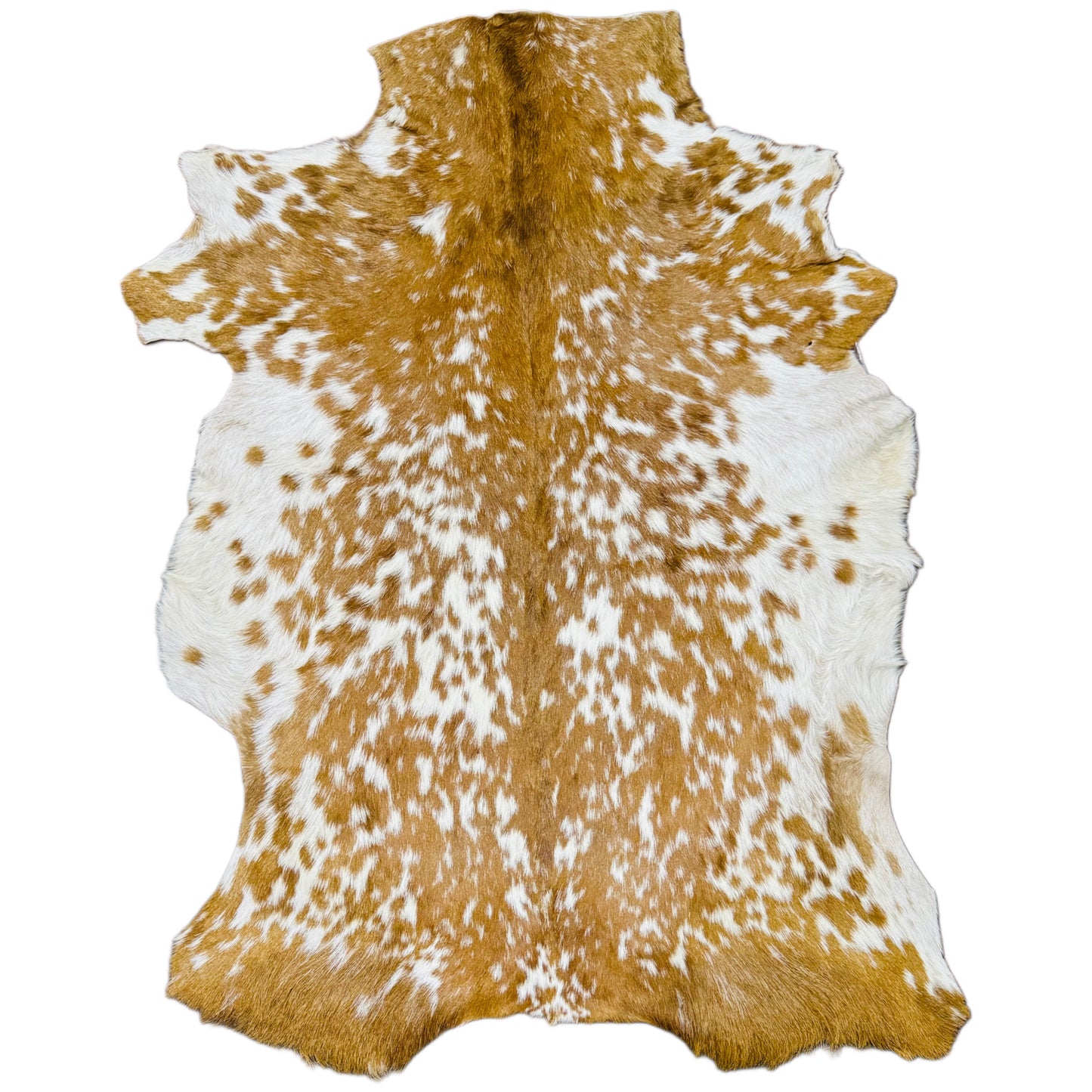 Goatskin Rug GR217