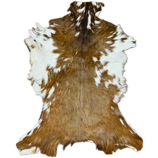 Goatskin Rug GR213