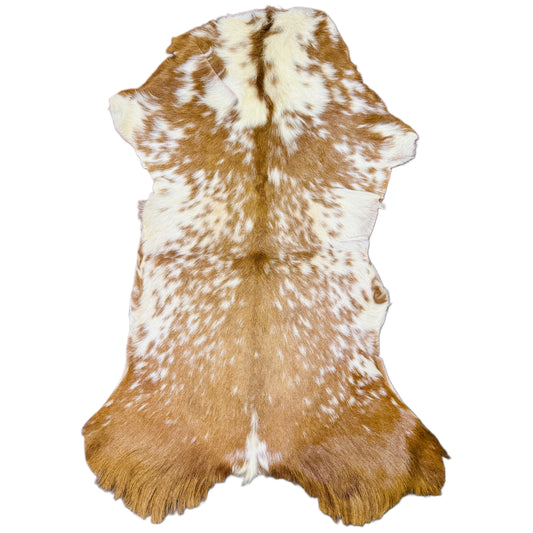 Goatskin Rug GR234