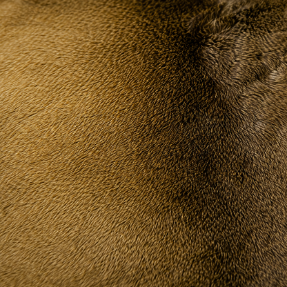 Deerhide Rug DR-101 40x38 INCH