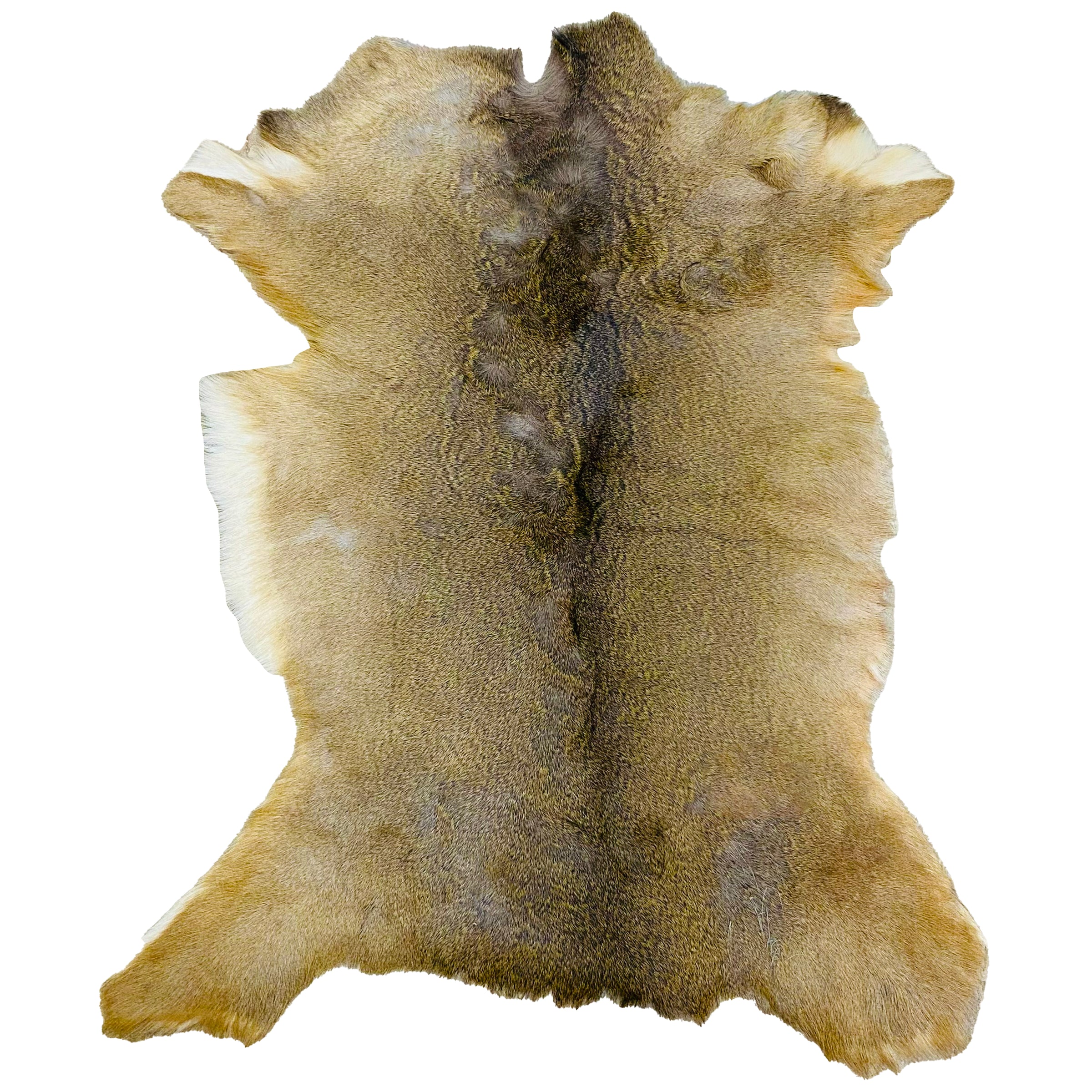 Deerhide Rug DR-111 46x36 INCH