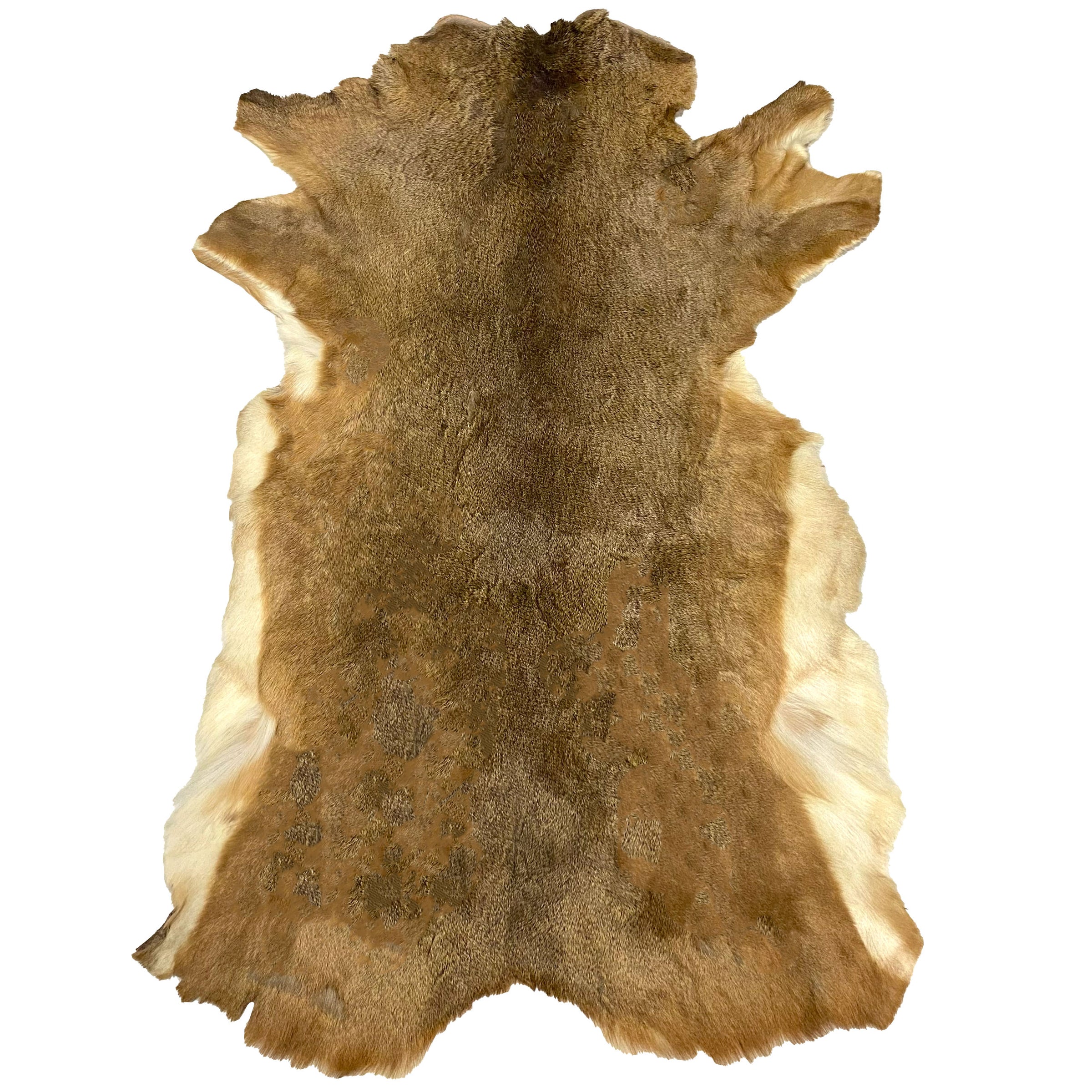 Deerhide Rug DR-117 60x41 INCH