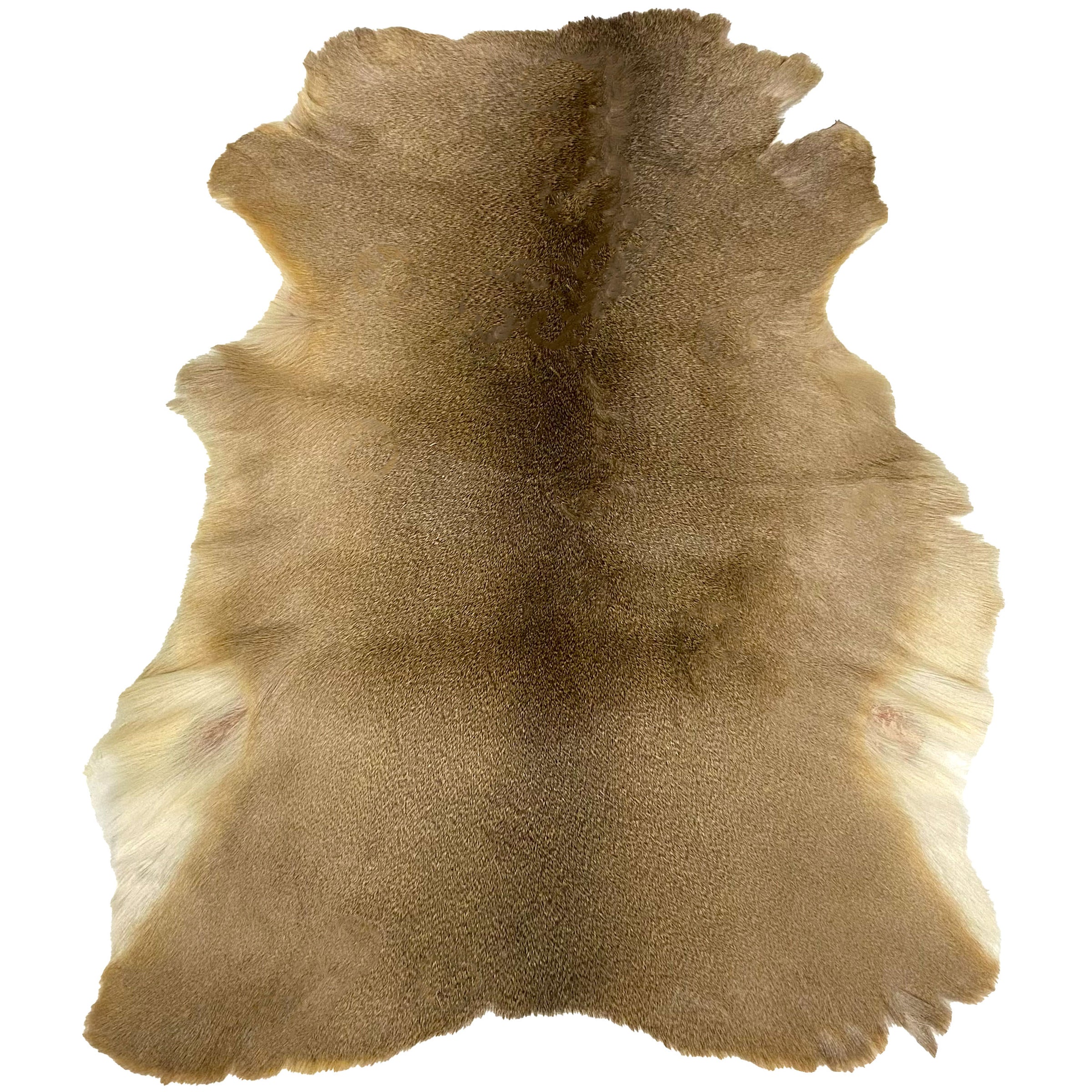 Deerhide Rug DR-119 40x36 INCH