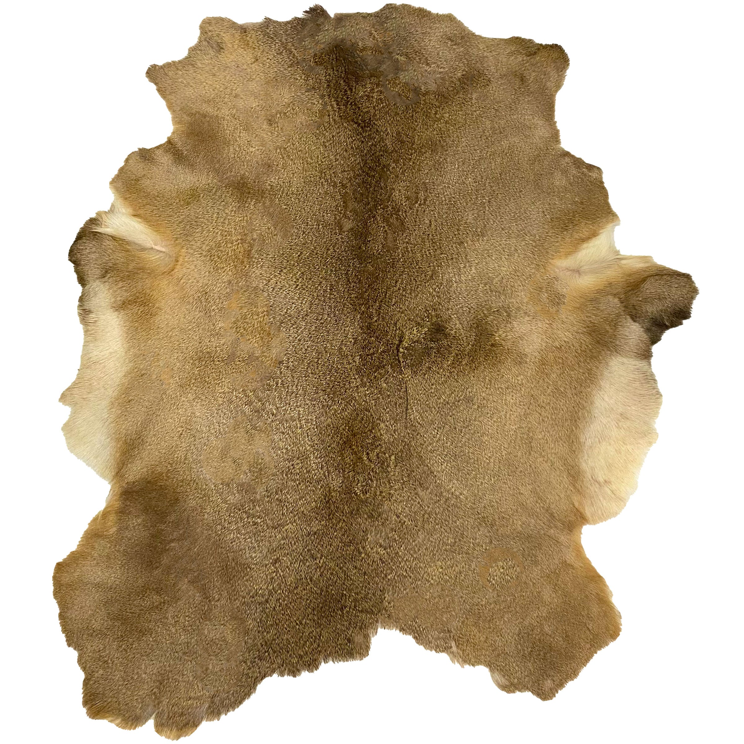 Deerhide Rug DR-120 45x34 INCH