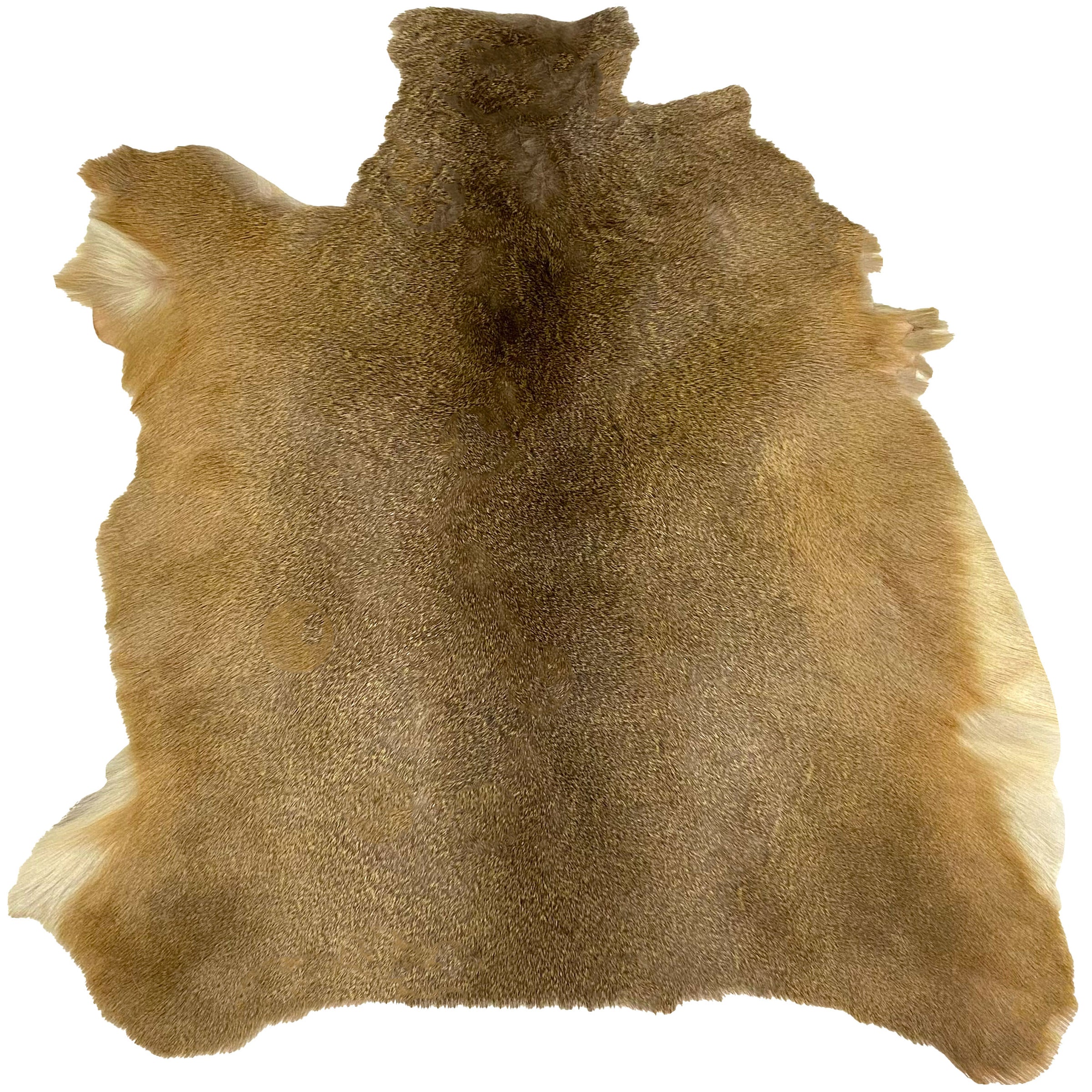 Deerhide Rug DR-121 36x36 INCH