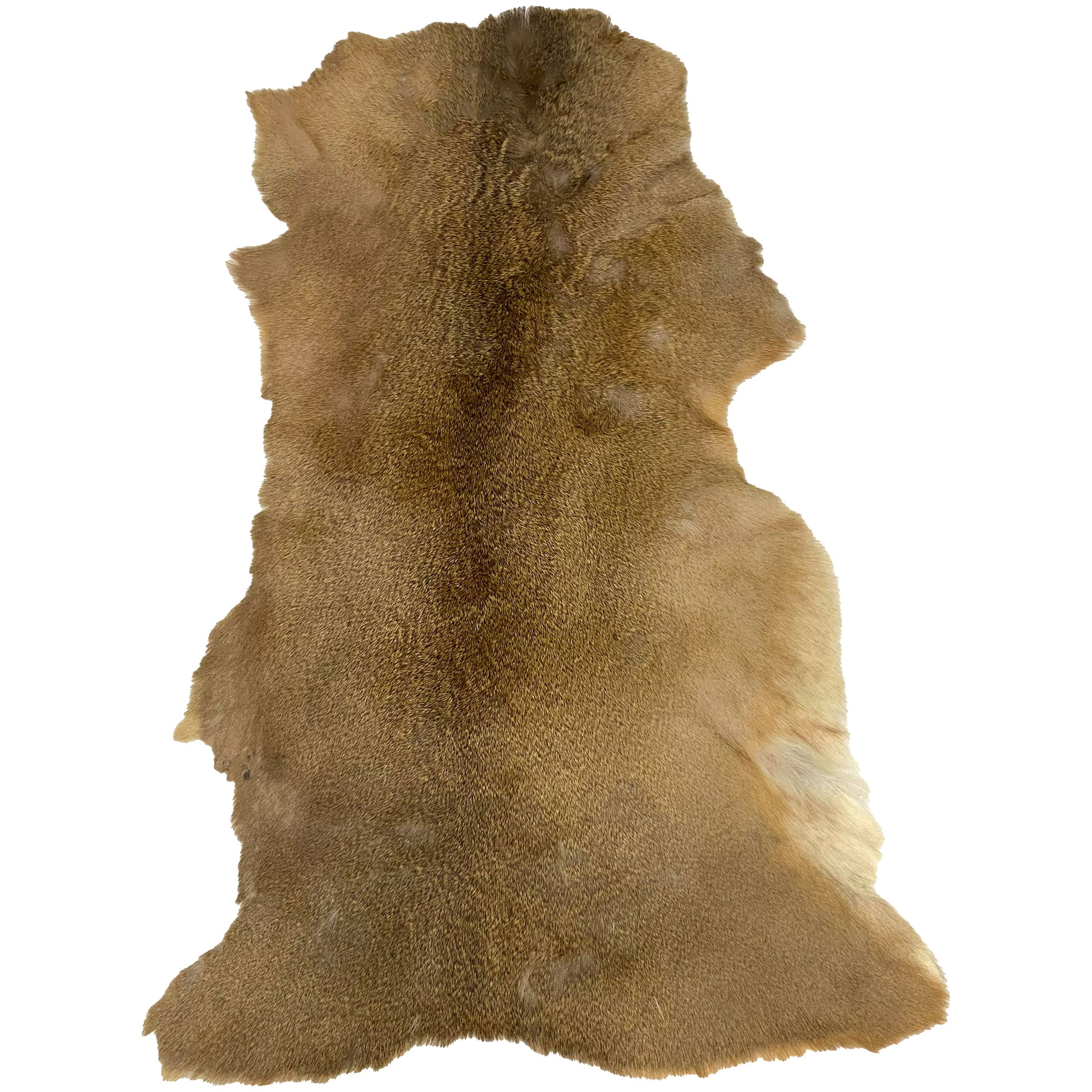 Deerhide Rug DR-124 41x30 INCH