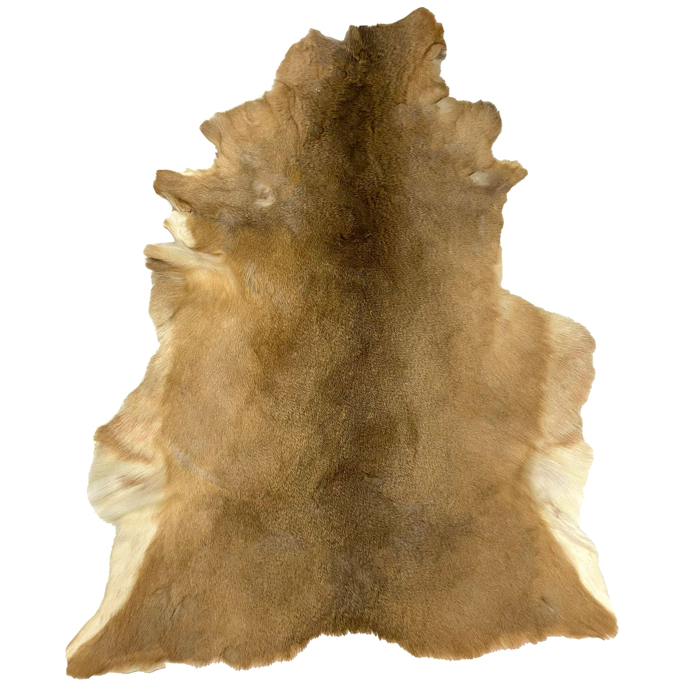 Deerhide Rug DR-126 47x38 INCH