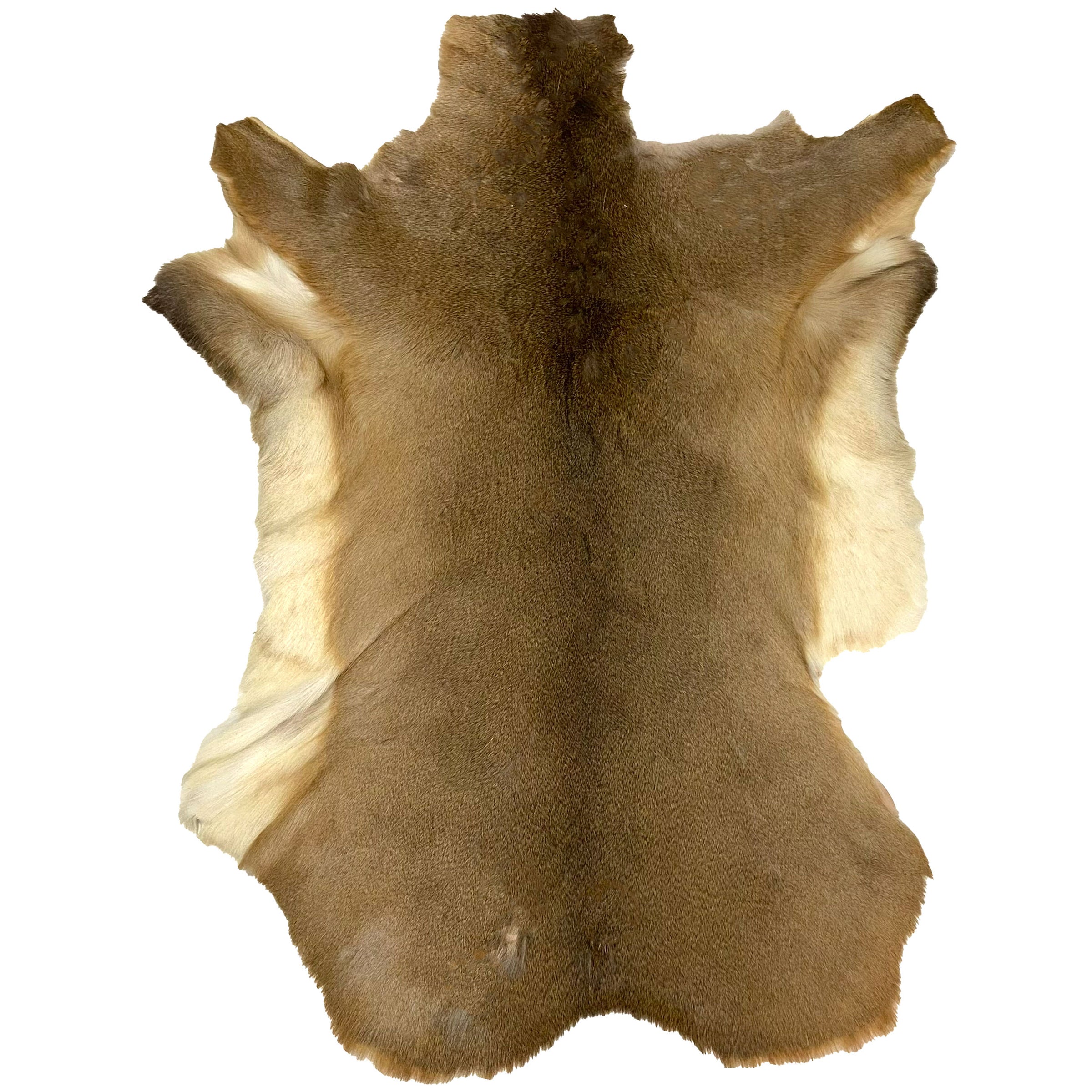 Deerhide Rug DR-130 45x33 INCH