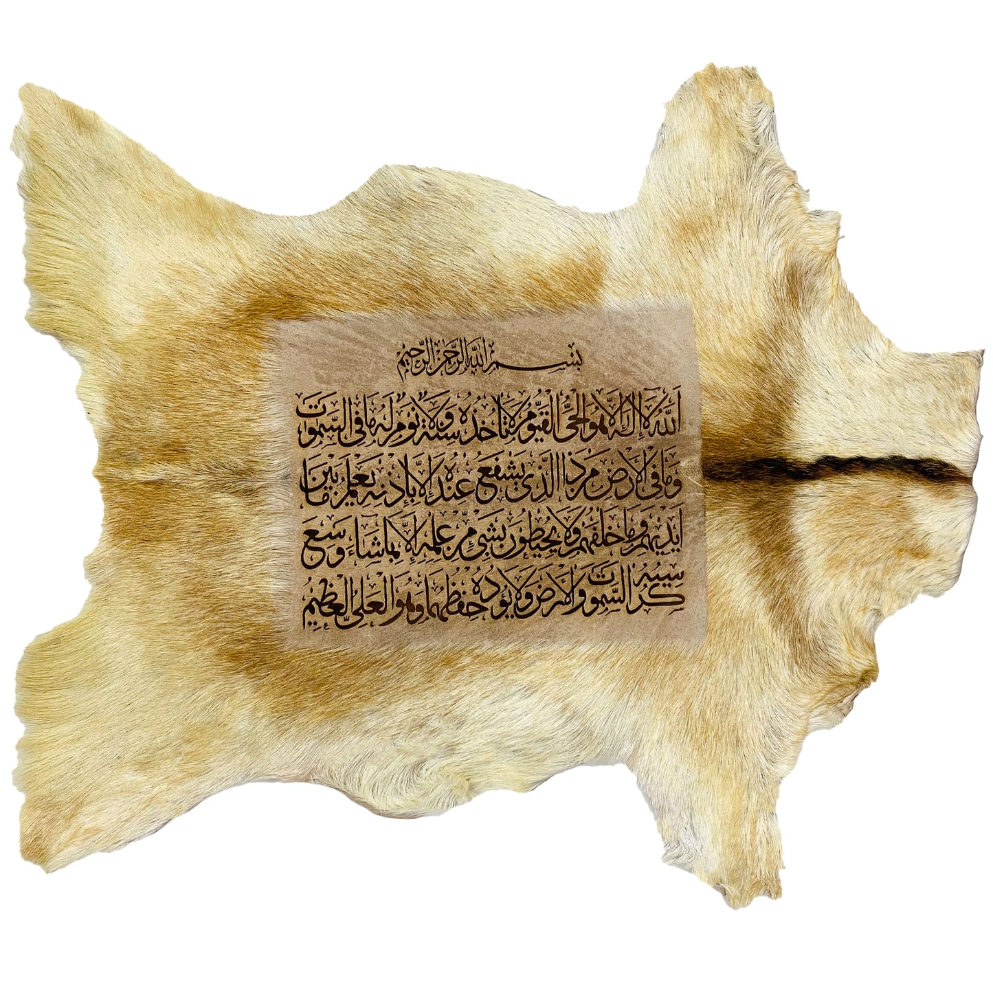 Ayat-ul-Kursi Goat Skin Calligraphy GC-108 29x25 INCH