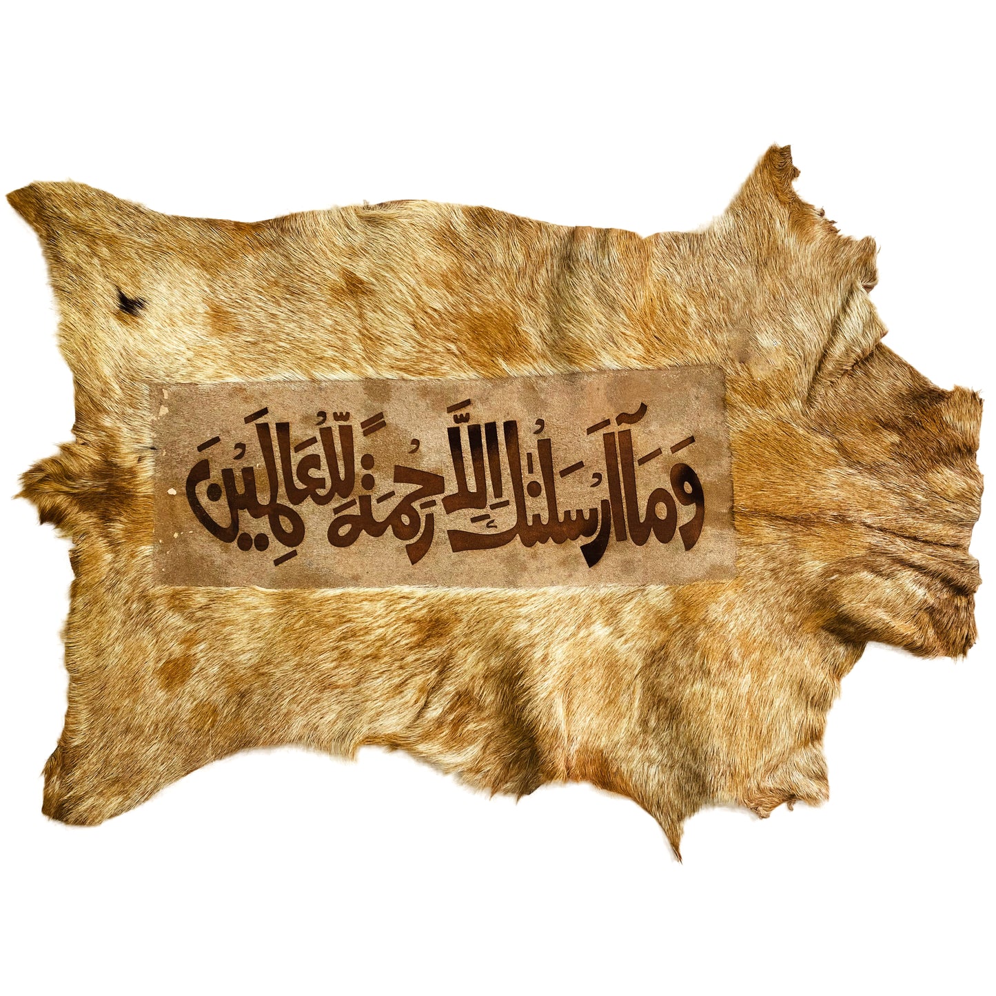 Qur'anic Ayah Goat Skin Calligraphy GC-169 27x20 INCH