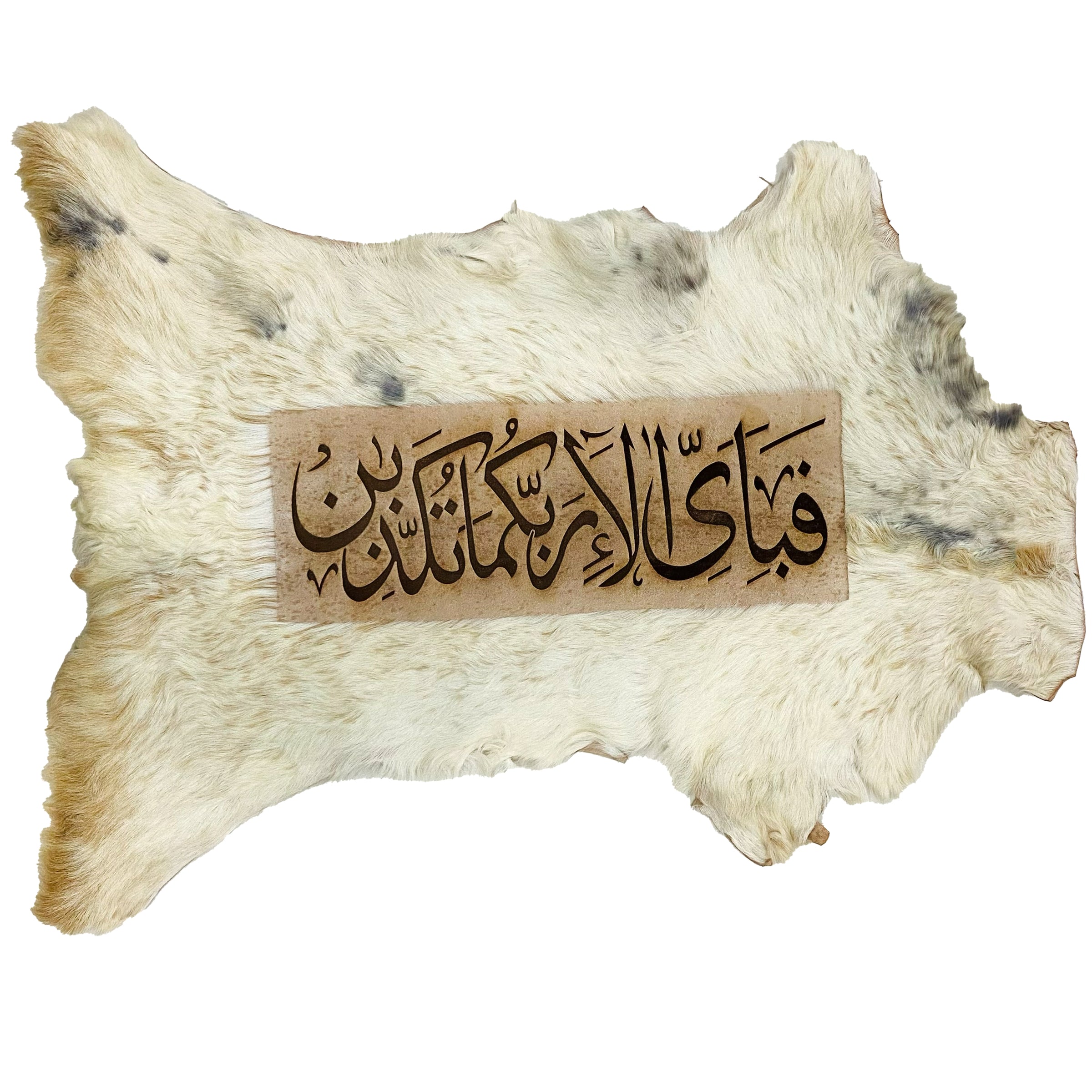 Fabi Ayyi Alaa Ayat Goatskin Calligraphy GC-242 29x20 INCH