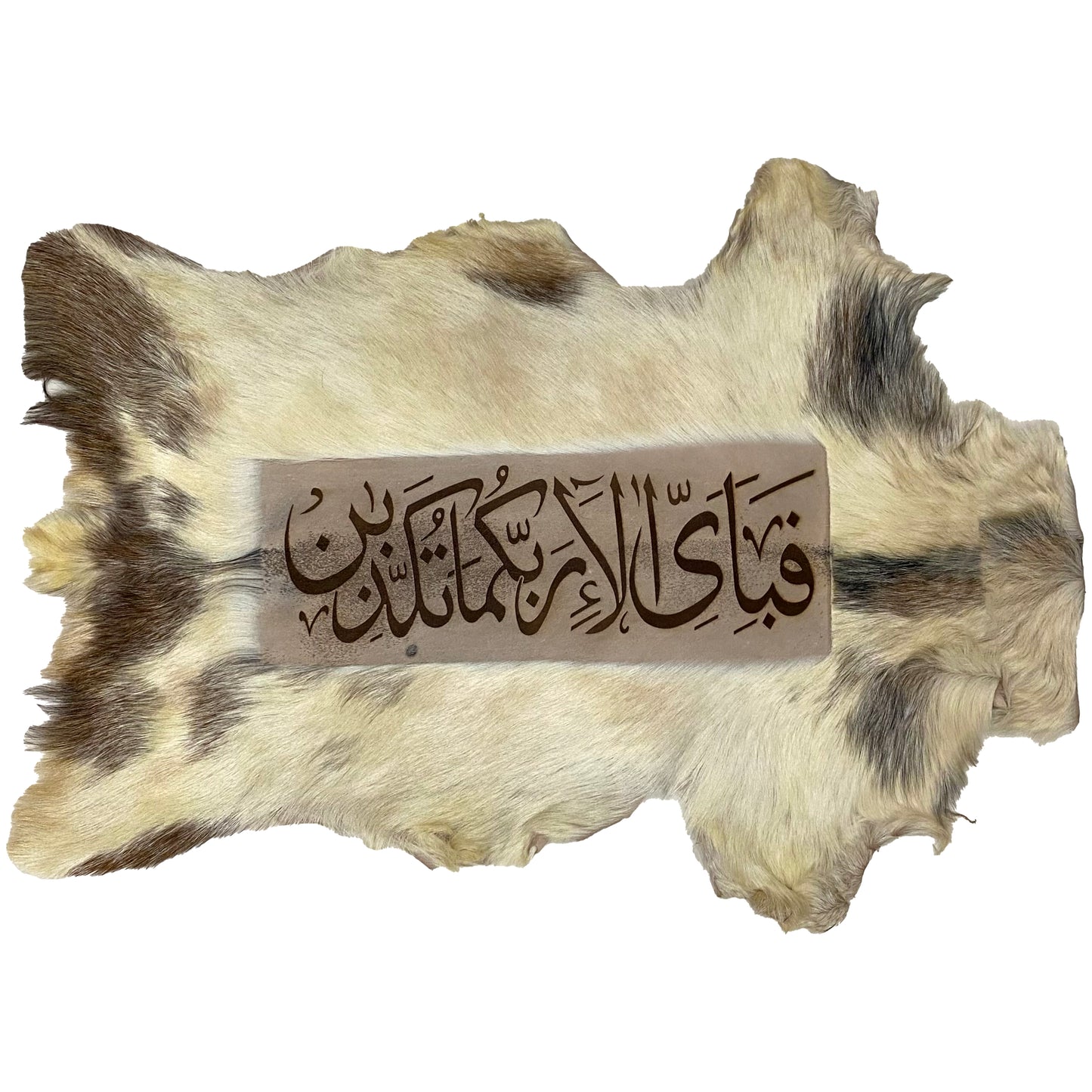 Fabi Ayyi Alaa Ayat Goatskin Calligraphy GC-330 31x22 INCH