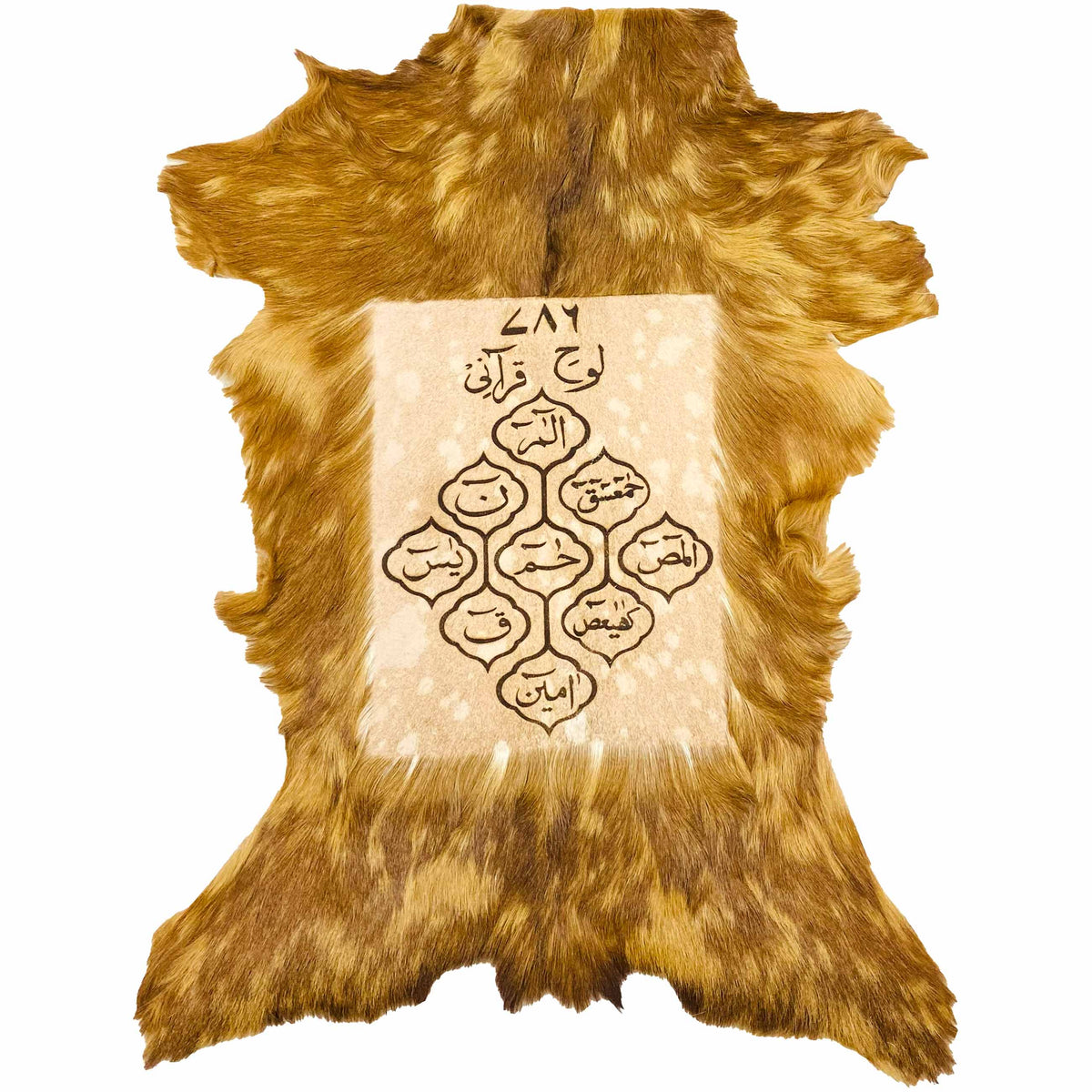 Lauh-e-Qurani Goat Skin Calligraphy GC-597 28x22 INCH