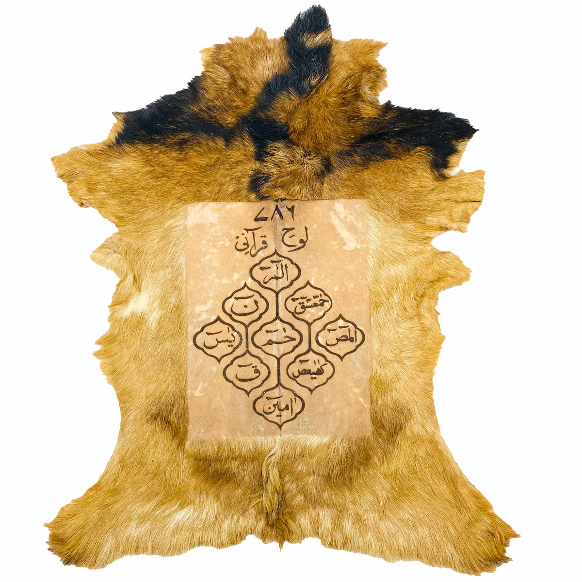Lauh-e-Qurani Goat Skin Calligraphy GC-598 28x24 INCH