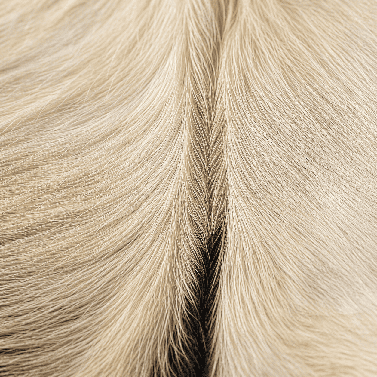 Goatskin Rug GR-108 40x32 INCH