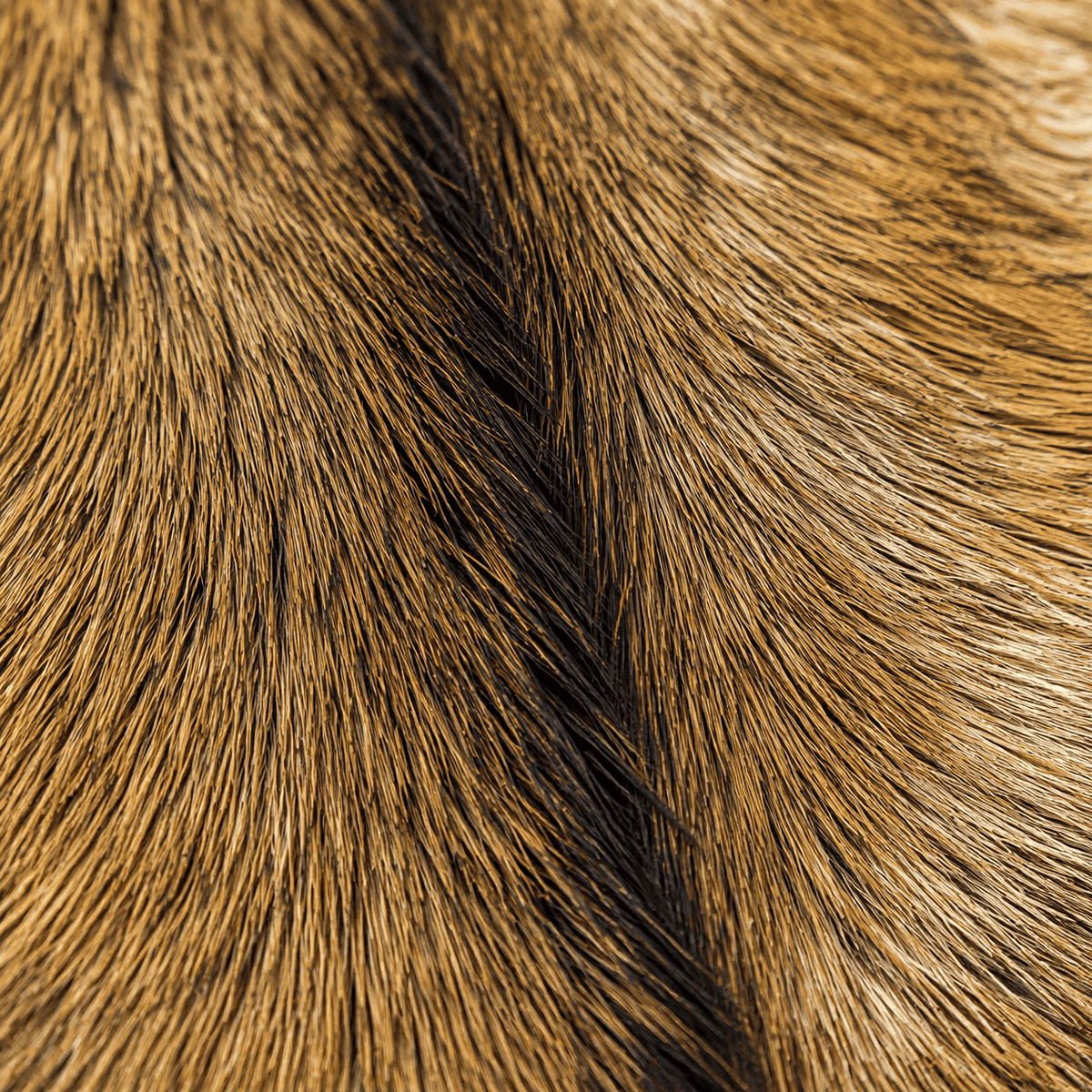 Goatskin Rug GR-119 38x25 INCH