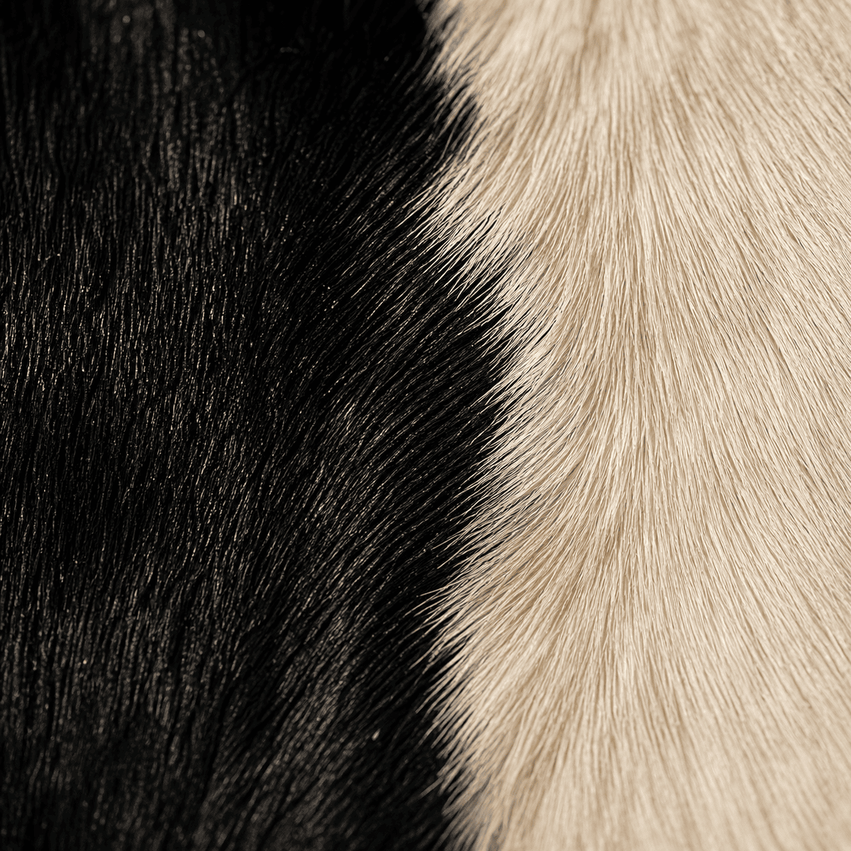 Goatskin Rug GR-105 38x28 INCH