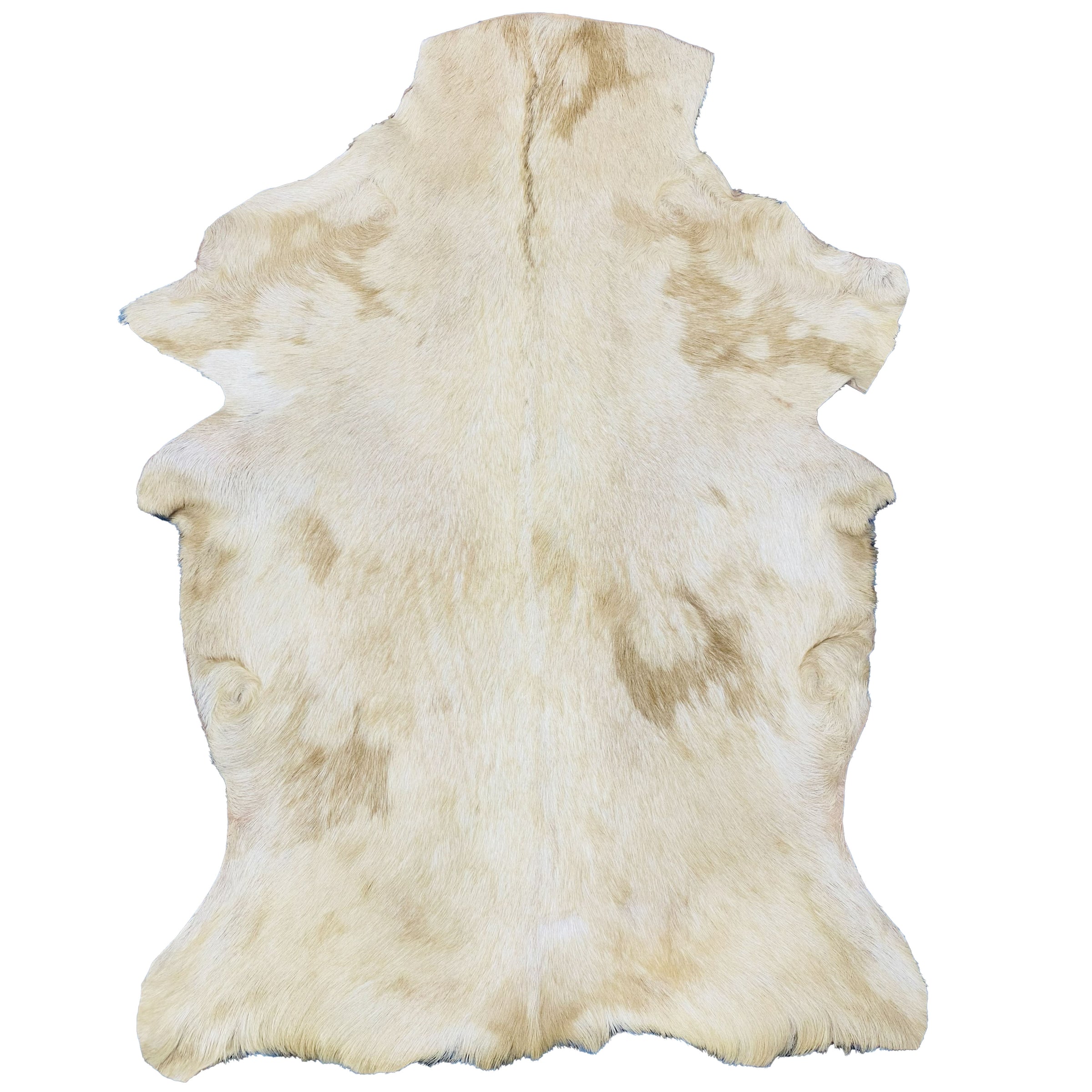 Goatskin Rug GR-106 43x31 INCH