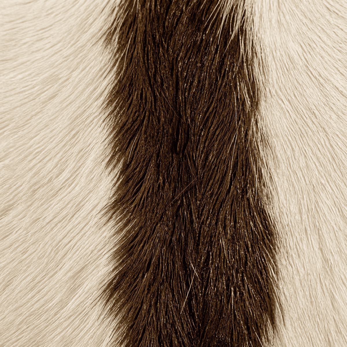 Goatskin Rug GR-109 35x28 INCH