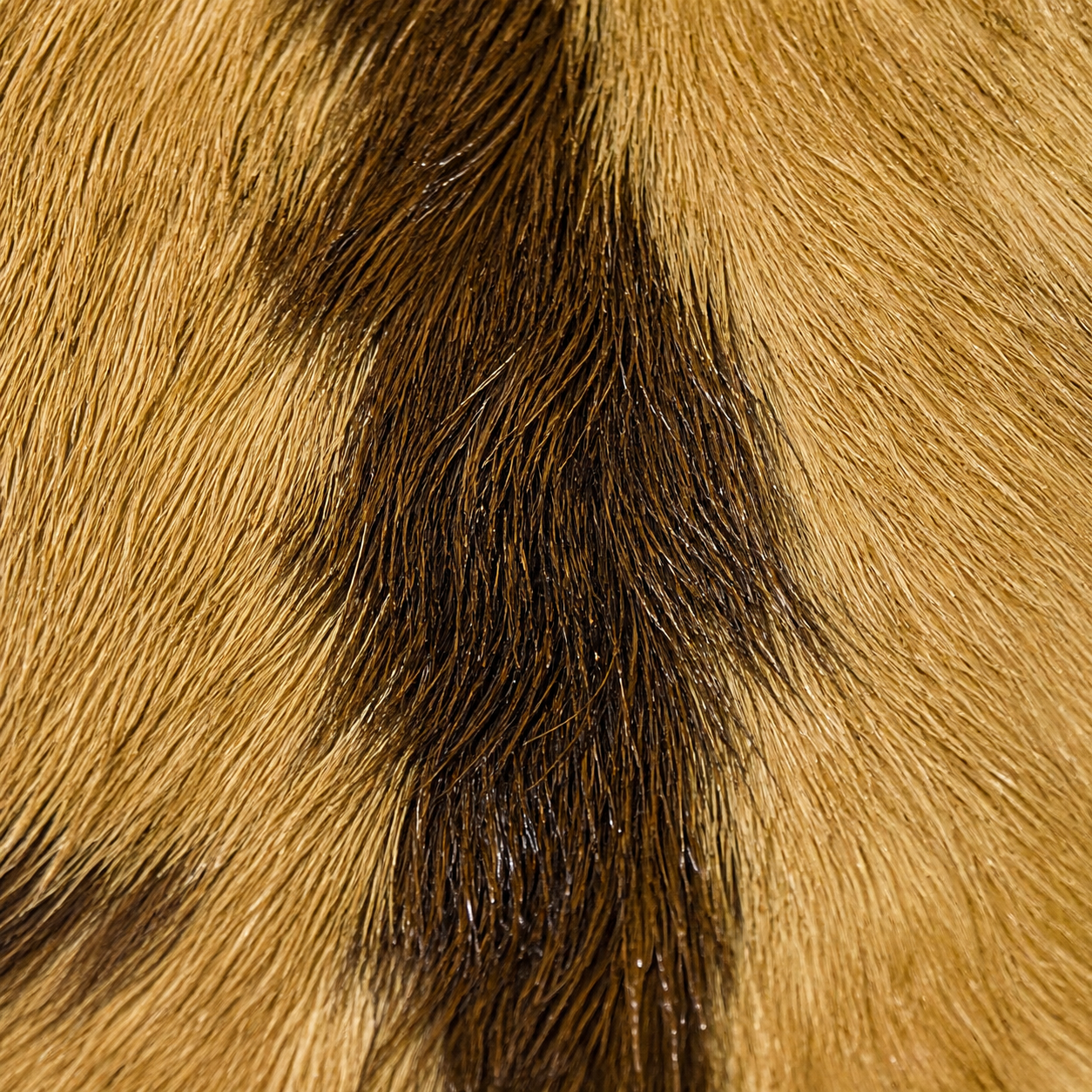 Goatskin Rug GR-110 41x27 INCH