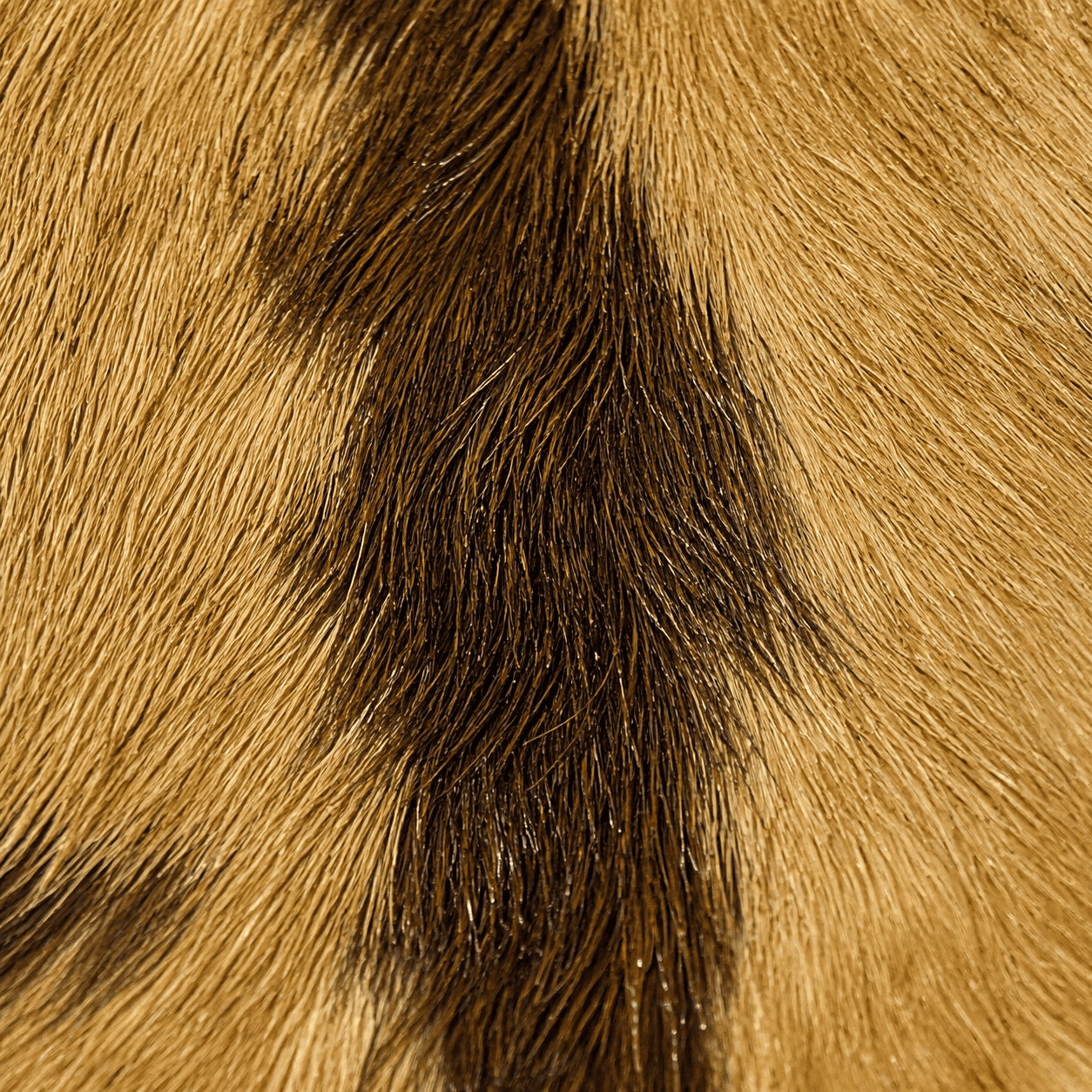 Goatskin Rug GR-110 41x27 INCH