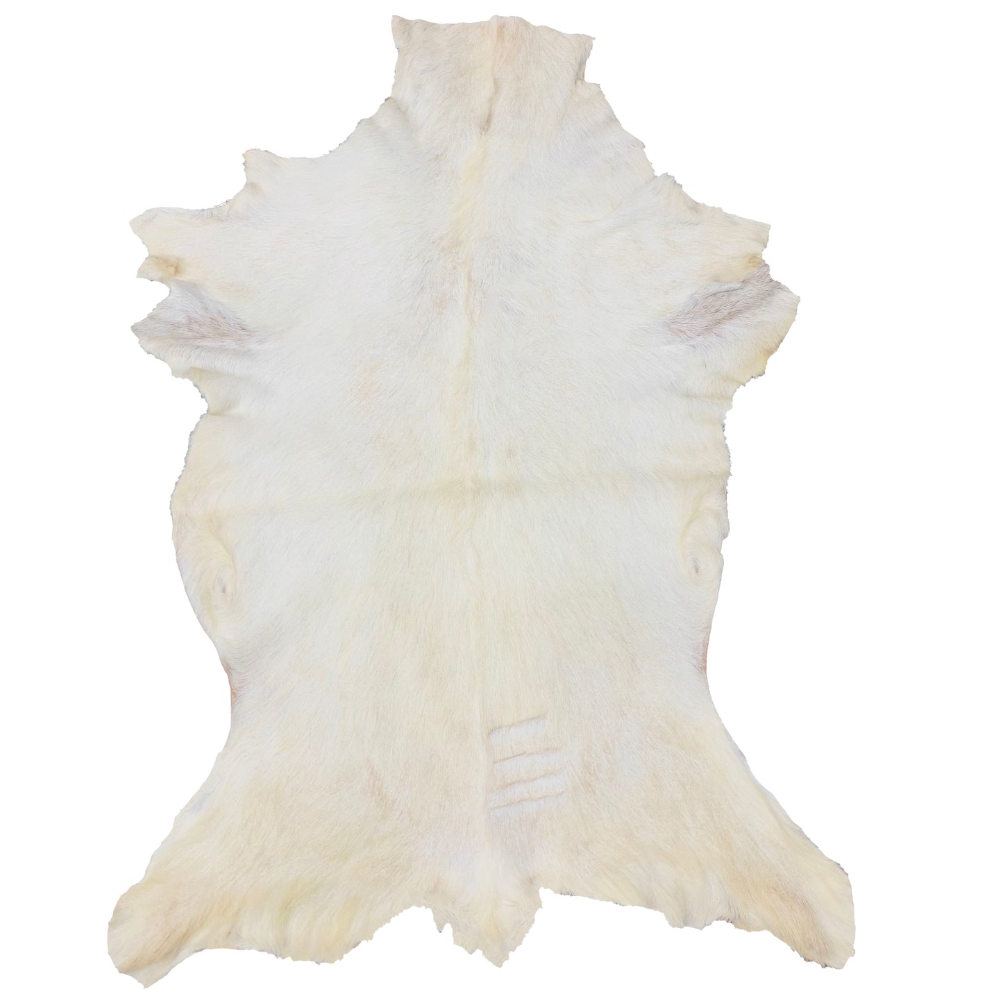 Goatskin Rug GR-112 50x35 INCH