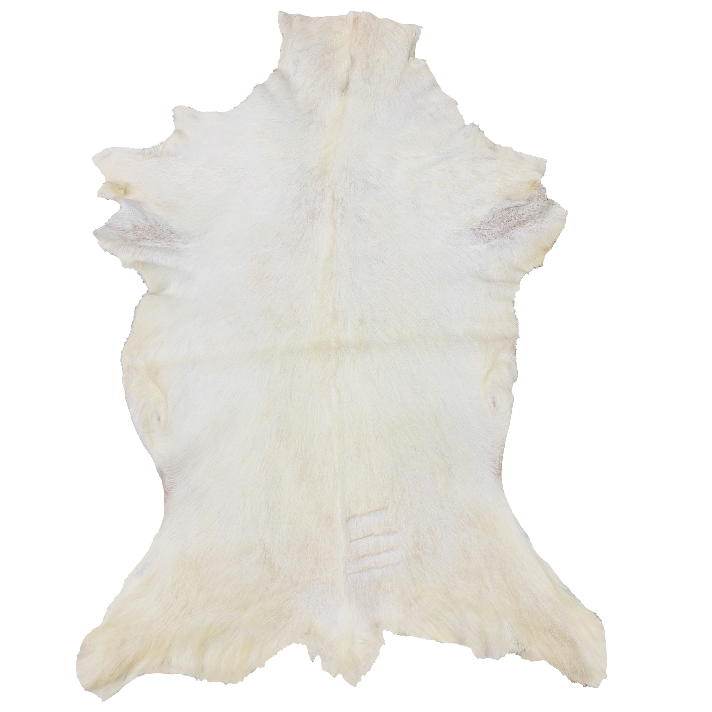 Goatskin Rug GR-112 50x35 INCH