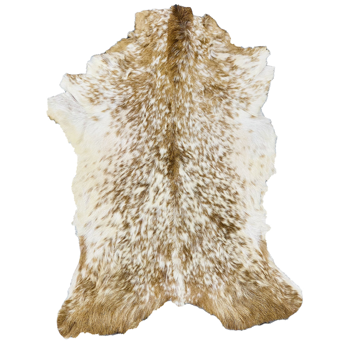 Goatskin Rug GR-113 36x26 INCH