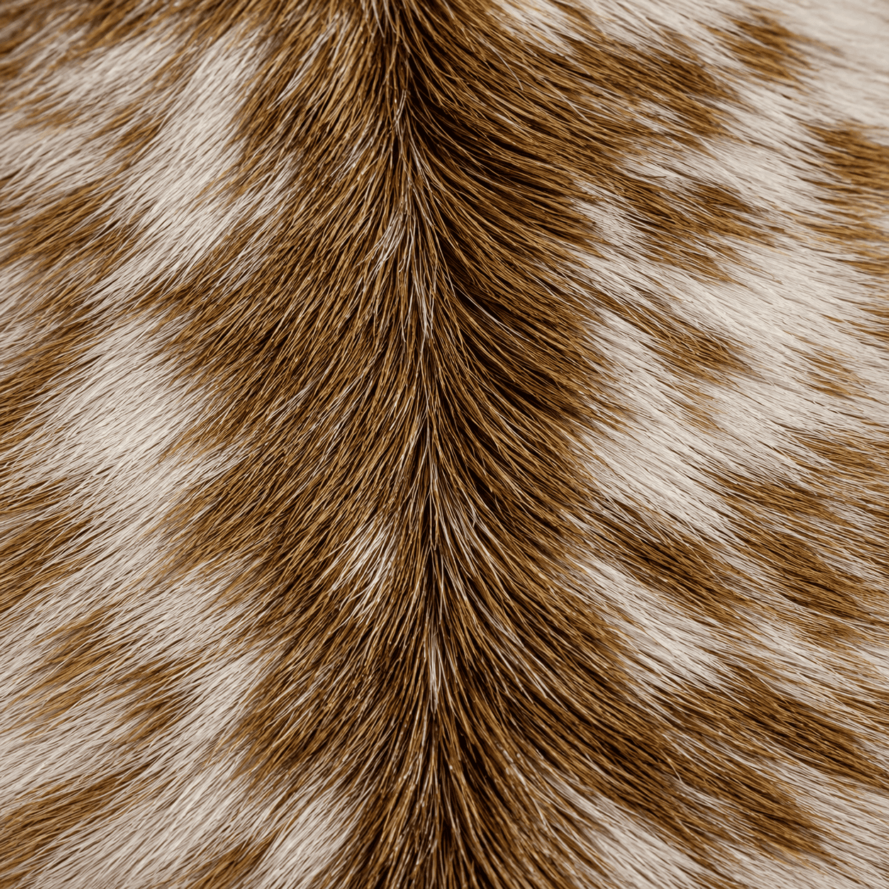 Goatskin Rug GR-113 36x26 INCH