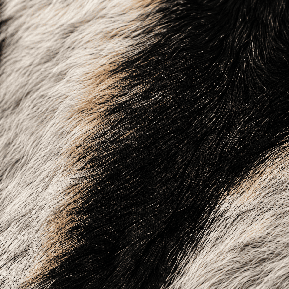 Goatskin Rug GR-116 42x29 INCH