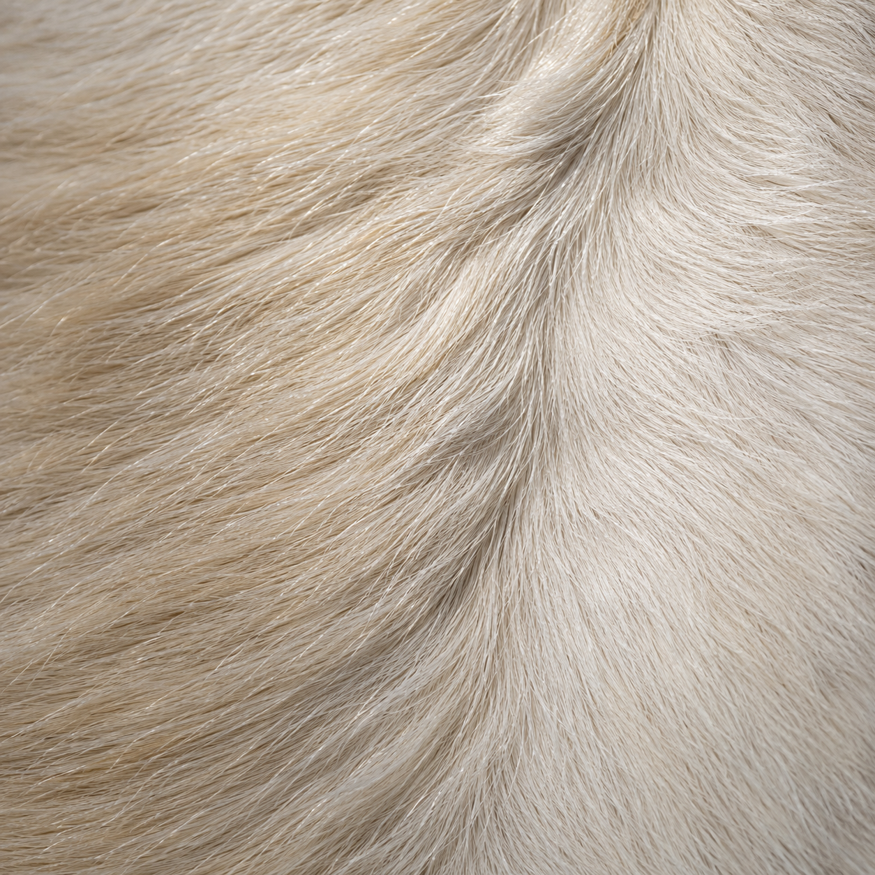 Goatskin Rug GR-117 42x24 INCH