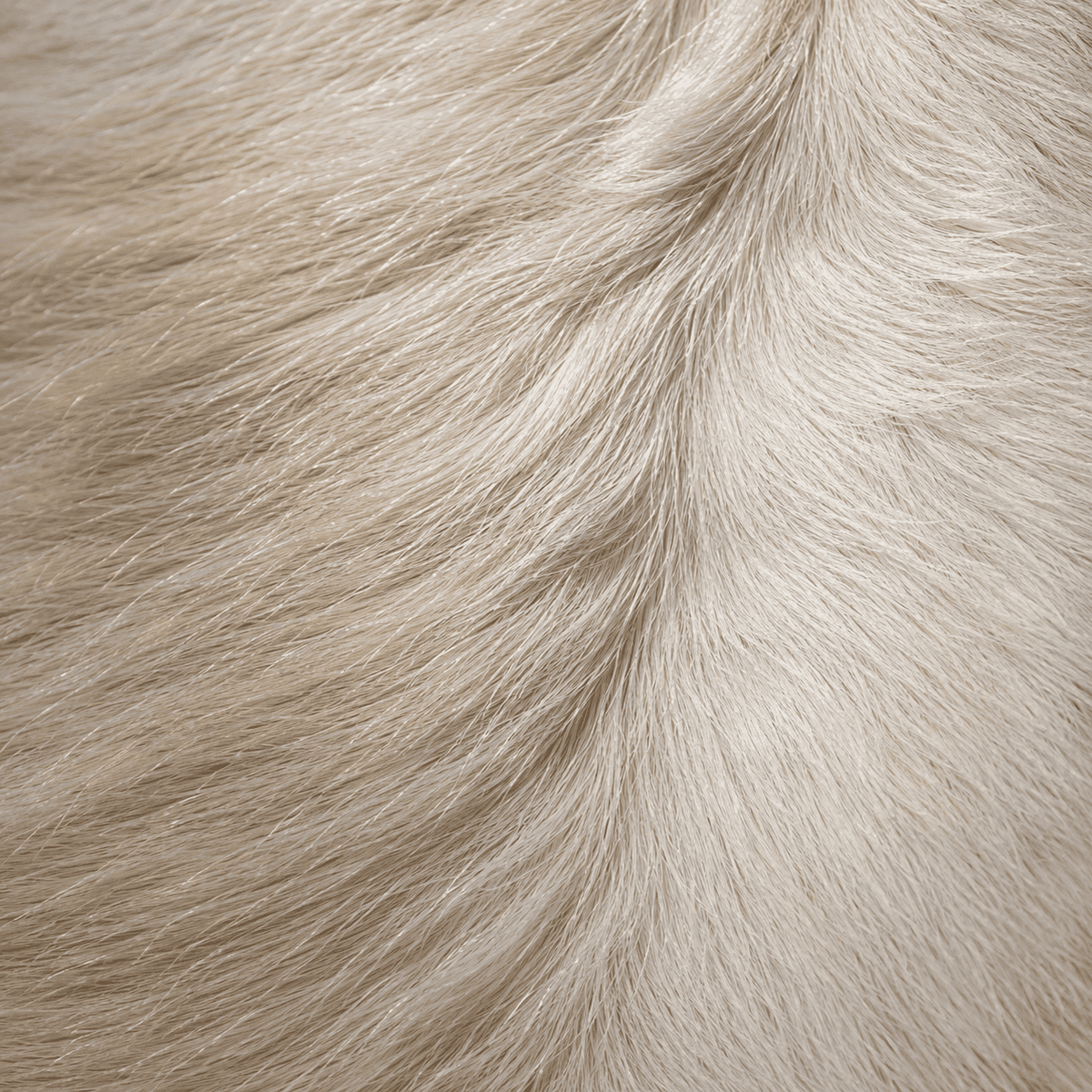 Goatskin Rug GR-117 42x24 INCH