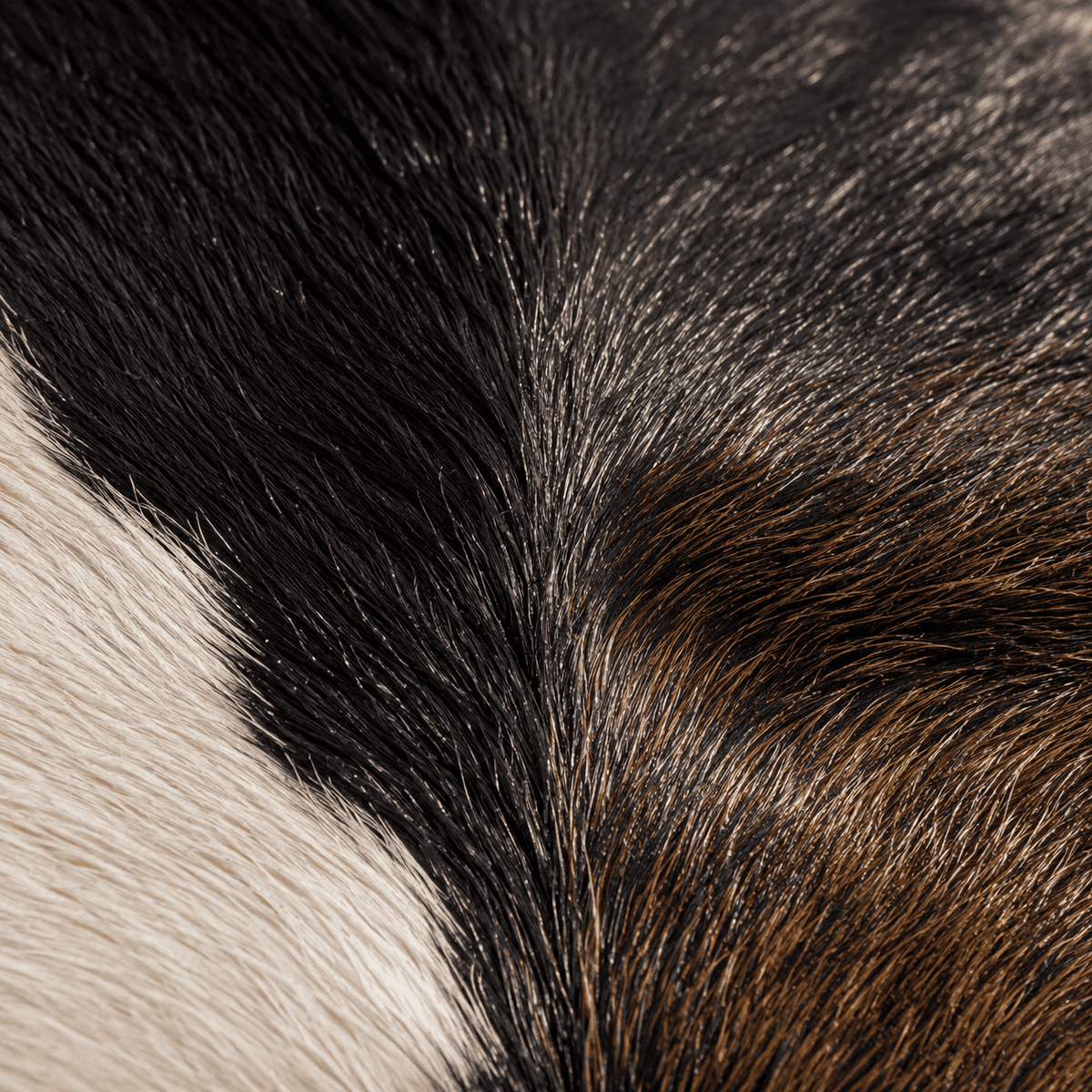 Goatskin Rug GR-120 40x23 INCH