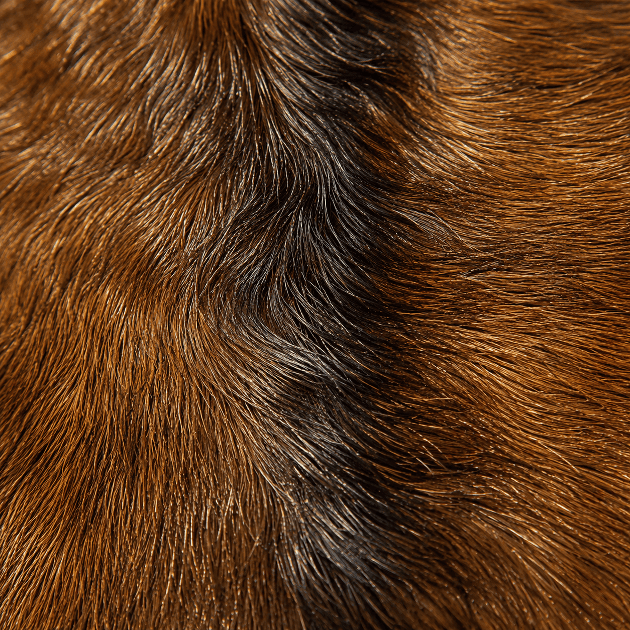 Goatskin Rug GR-125 44x28 INCH