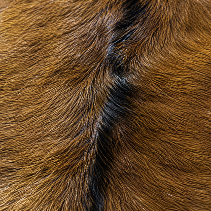 Goatskin Rug GR-126 39x29 INCH