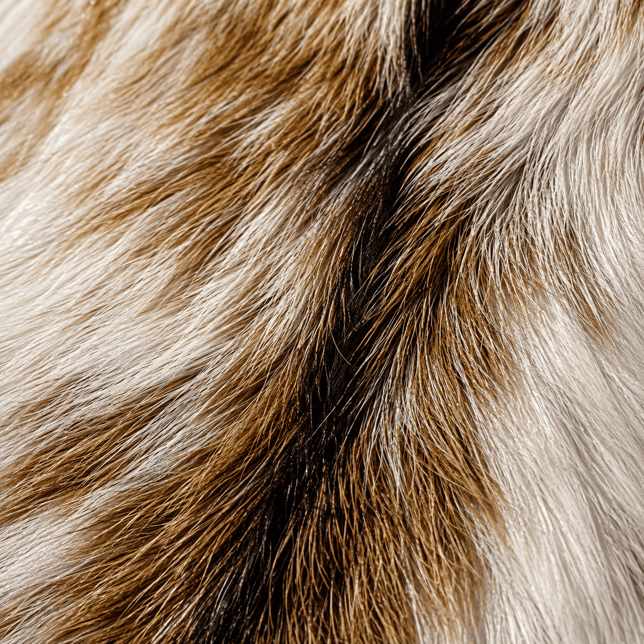Goatskin Rug GR-127 37x34 INCH