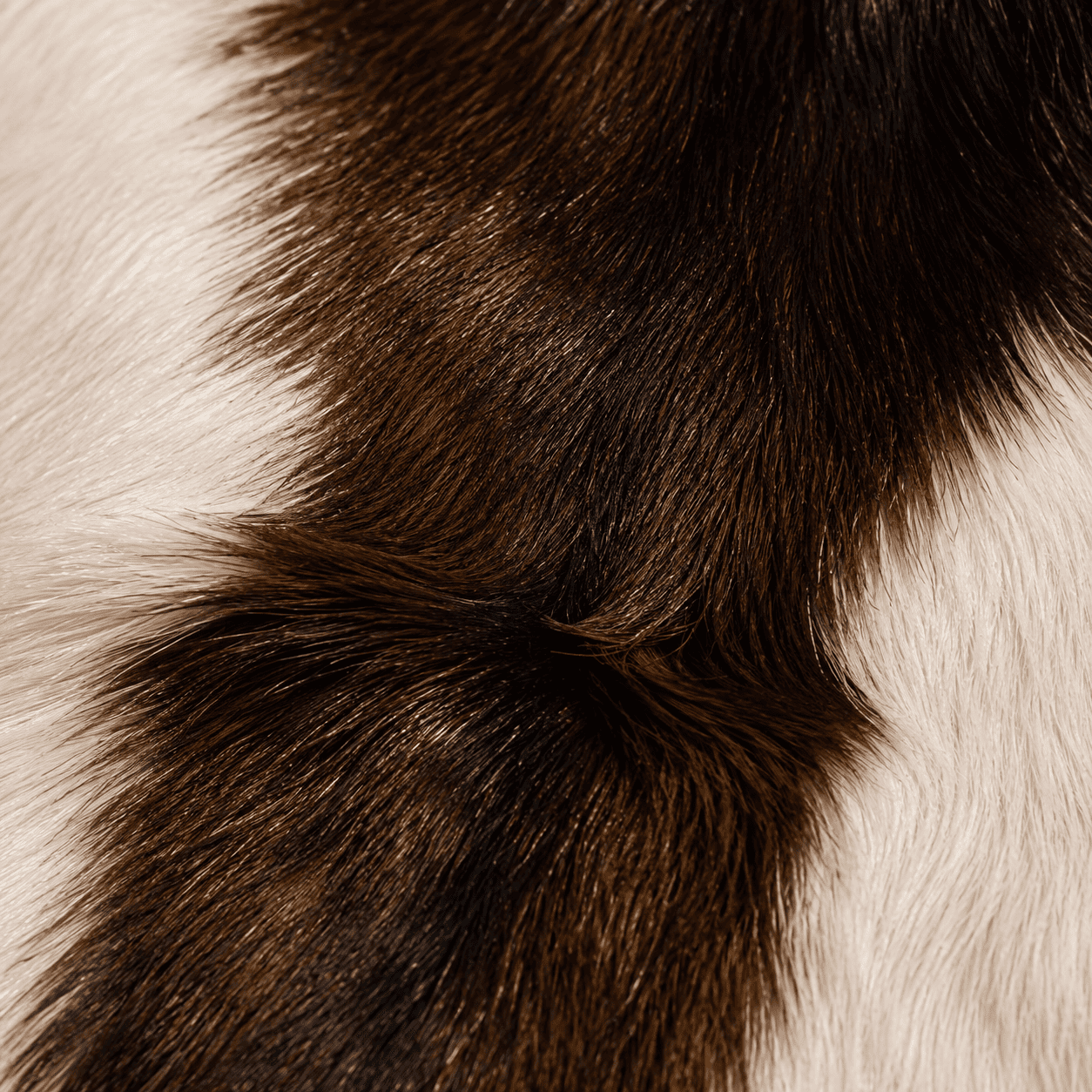 Goatskin Rug GR-128 41x29 INCH
